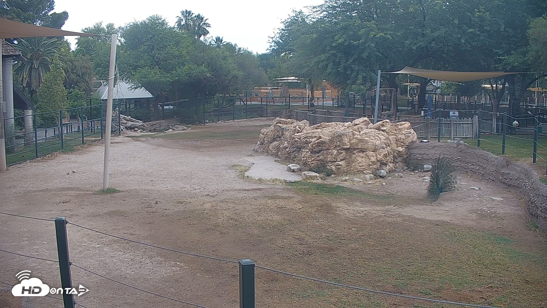 Snapshot of Reid Park Zoo Giraffes Live Webcam taken May 28, 2026, 6:52am MST