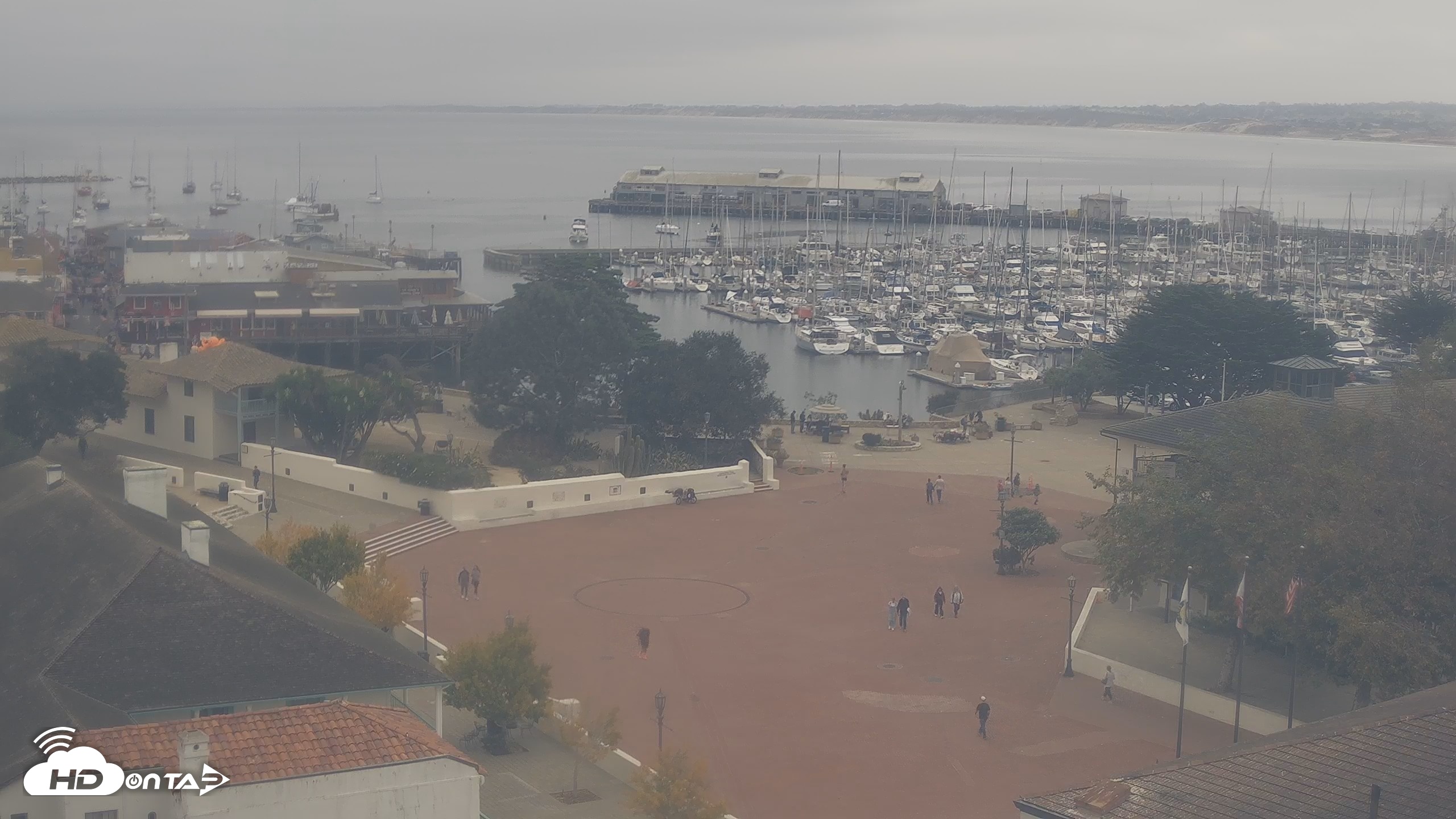 Snapshot of Port of Monterey Live Webcam taken Oct 9, 2026, 10:51am PDT