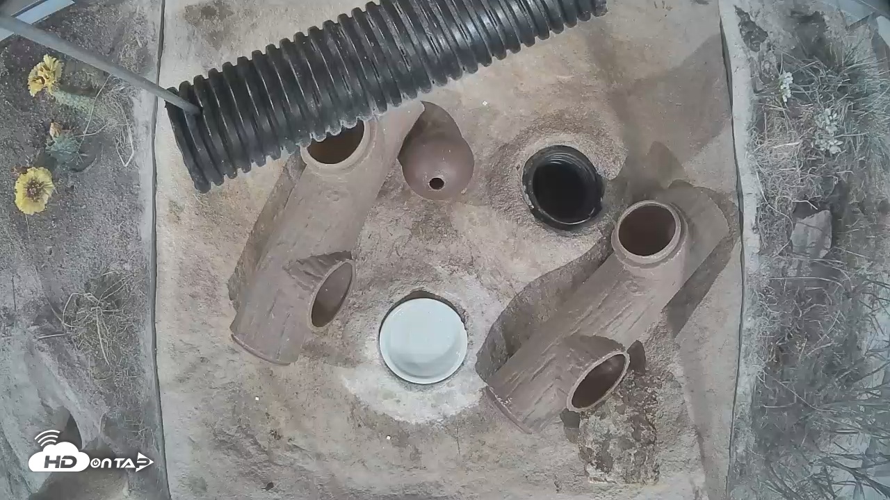 Snapshot of Fort Collins Museum of Discovery Black-Footed Ferret Live Cam taken Nov 24, 2025, 5:06pm MST