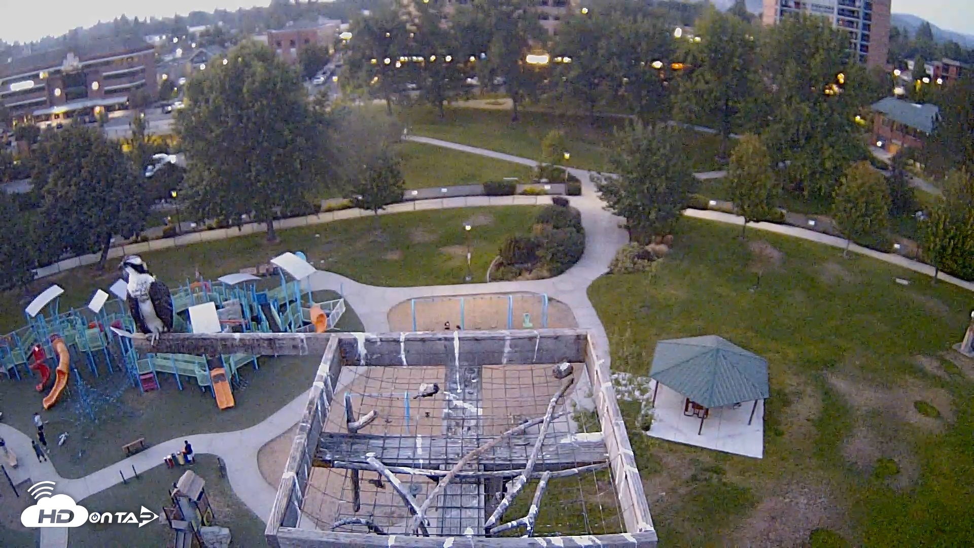 Snapshot of Coeur d'Alene Idaho Nest Platform Live Webcam taken Aug 20, 2026, 8:11pm PDT