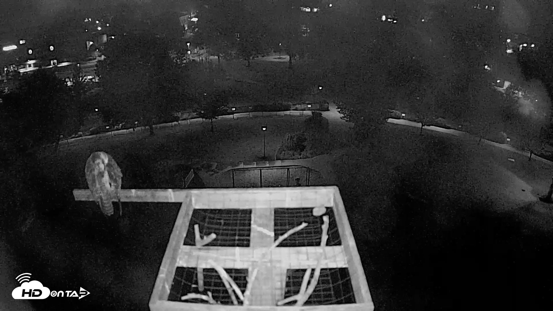 Snapshot of Coeur d'Alene Idaho Nest Platform Live Webcam taken Aug 3, 2026, 3:41am PDT