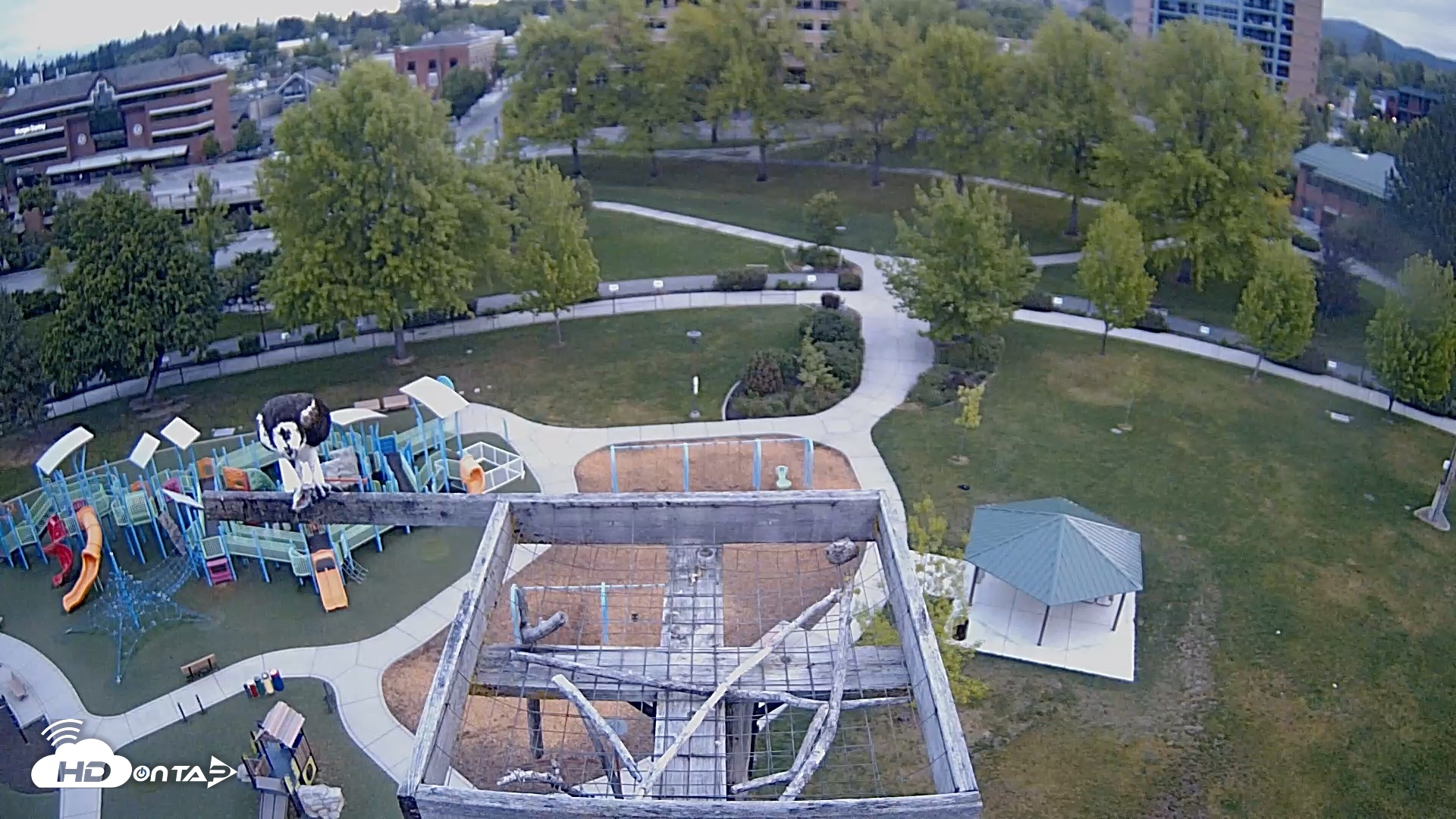 Snapshot of Coeur d'Alene Idaho Nest Platform Live Webcam taken May 16, 2026, 5:55am PDT