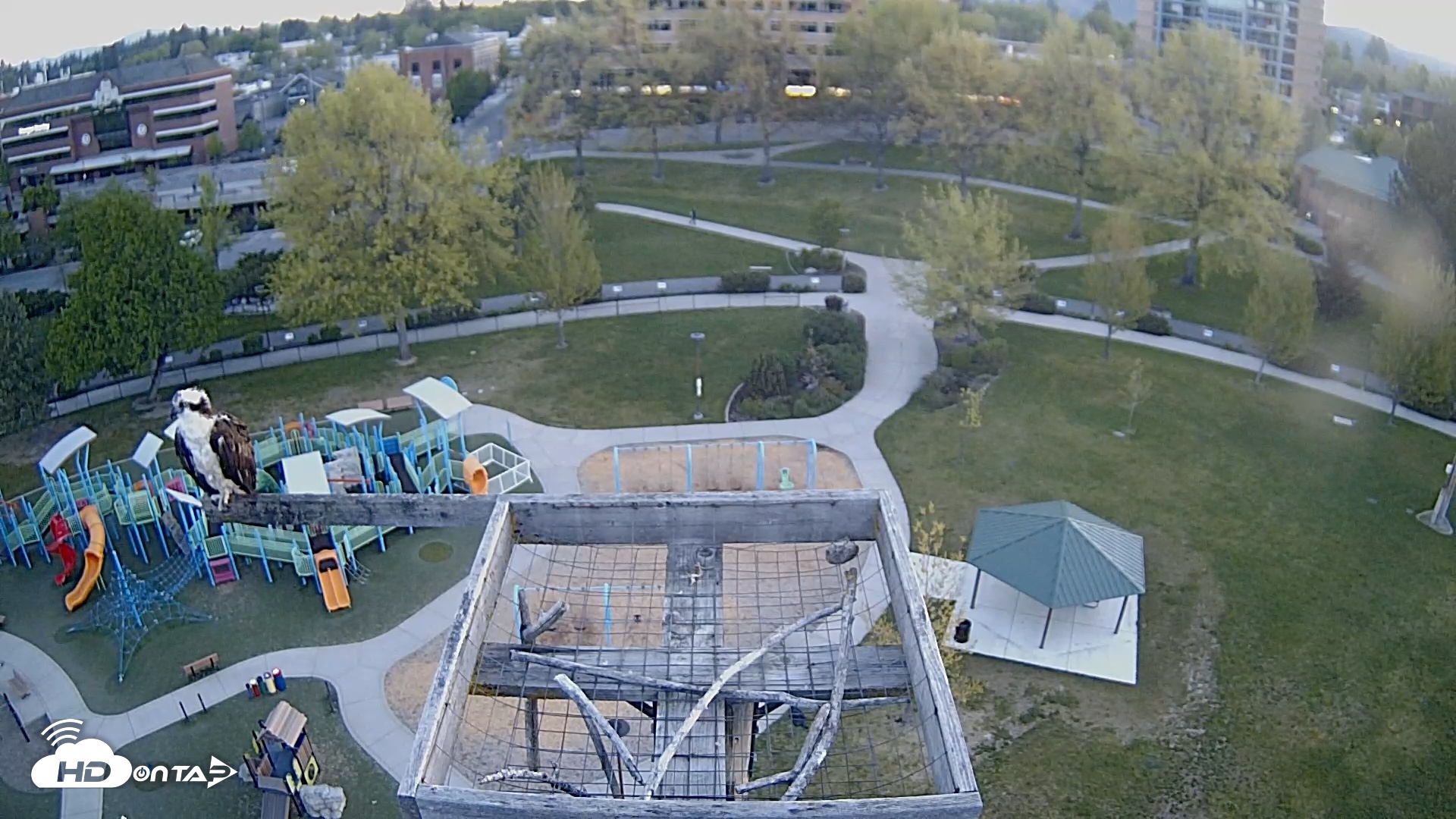 Snapshot of Coeur d'Alene Idaho Nest Platform Live Webcam taken May 5, 2026, 5:35am PDT