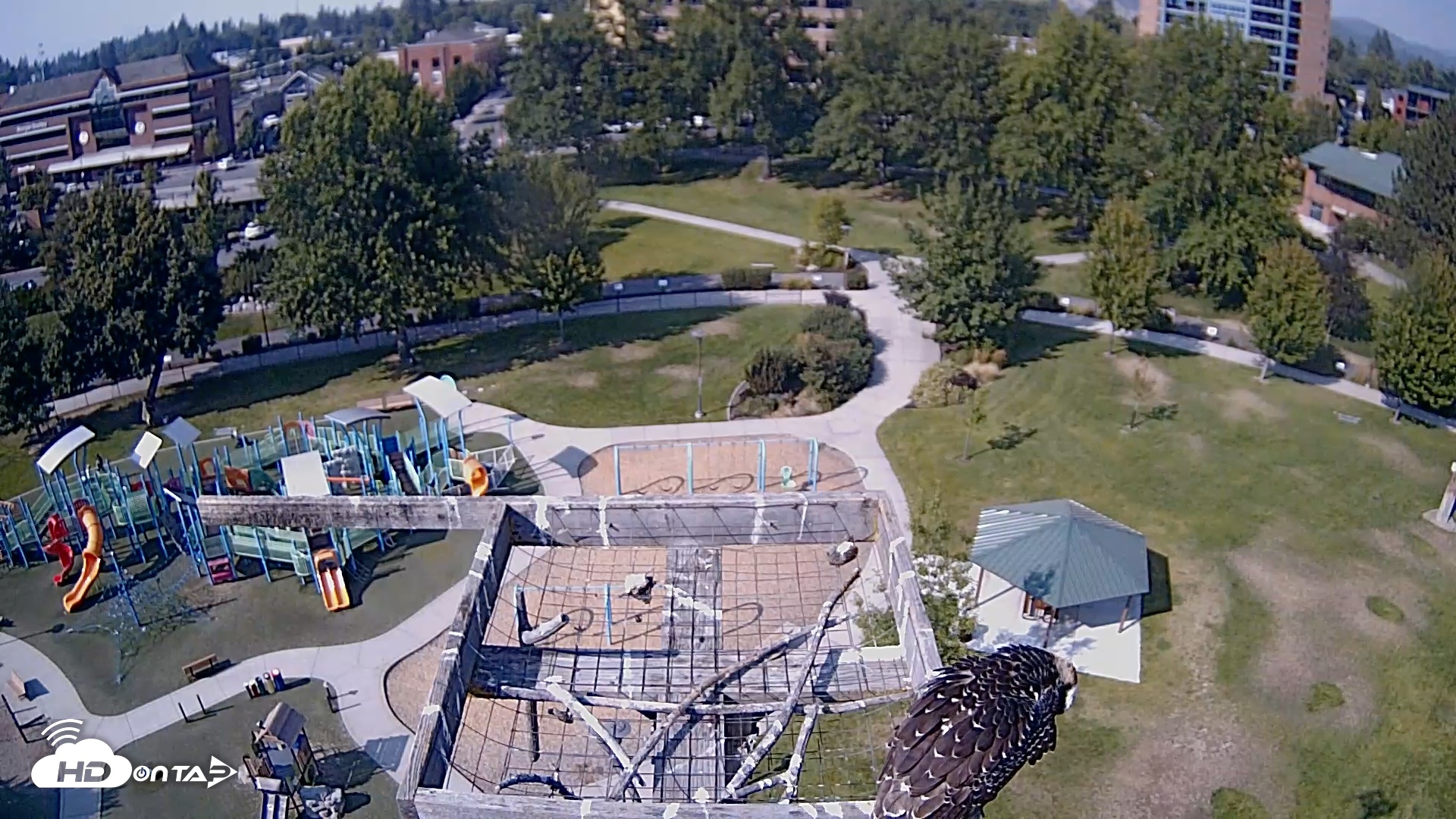 Snapshot of Coeur d'Alene Idaho Nest Platform Live Webcam taken Aug 18, 2026, 3:57pm PDT