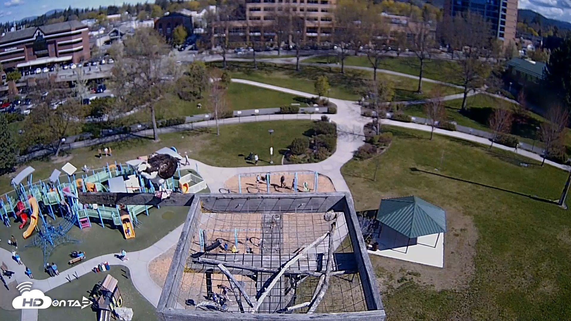 Snapshot of Coeur d'Alene Idaho Nest Platform Live Webcam taken Apr 25, 2026, 10:09am PDT