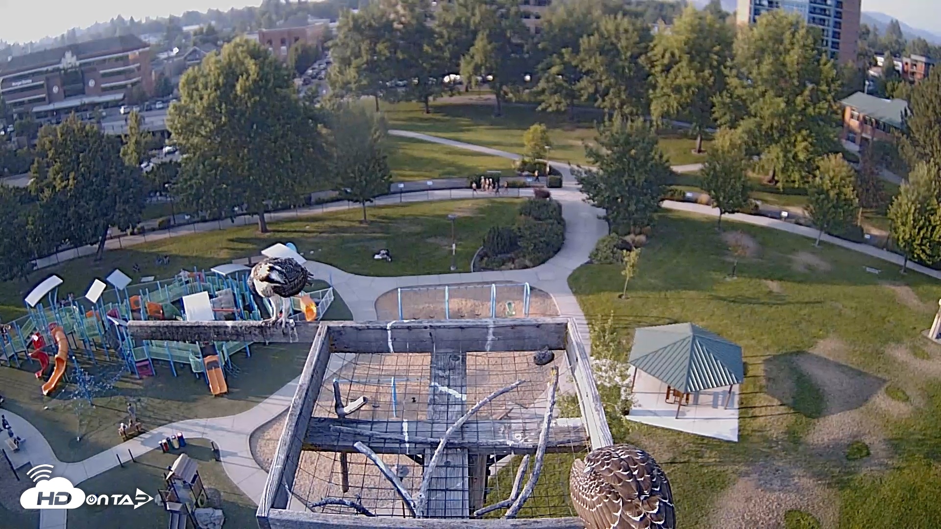 Snapshot of Coeur d'Alene Idaho Nest Platform Live Webcam taken Aug 4, 2026, 6:55pm PDT