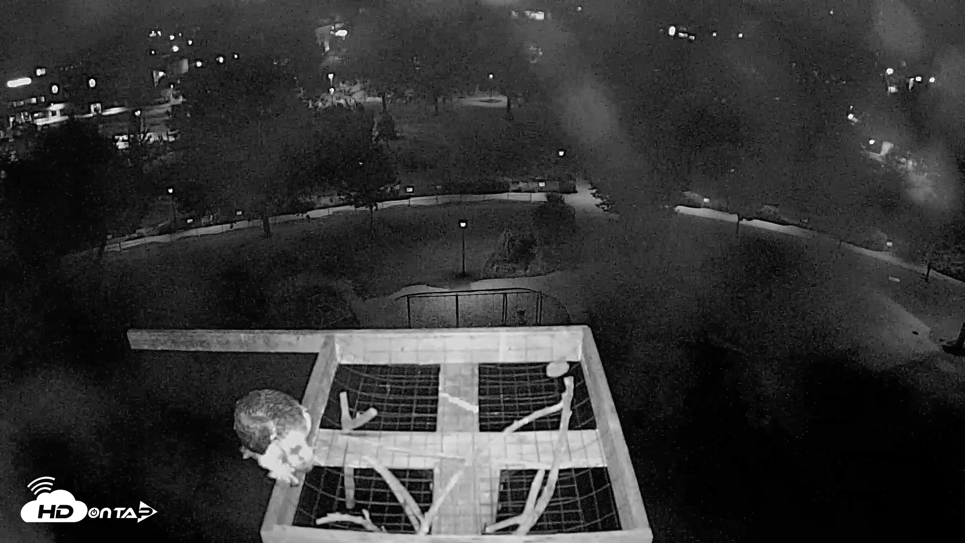 Snapshot of Coeur d'Alene Idaho Nest Platform Live Webcam taken Jul 24, 2026, 3:08am PDT