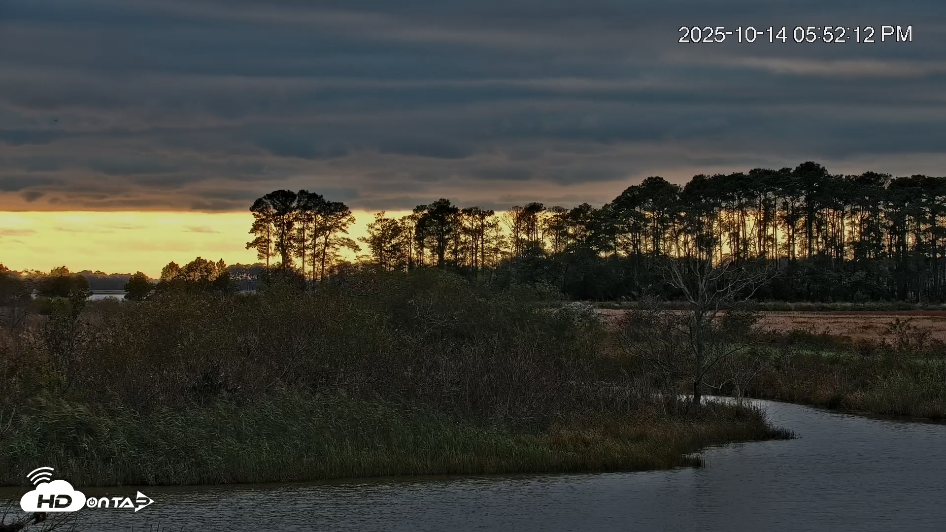 Snapshot of Blackwater Wildlife Refuge Osprey River Platform Live Cam taken Oct 14, 2025, 5:52pm EDT
