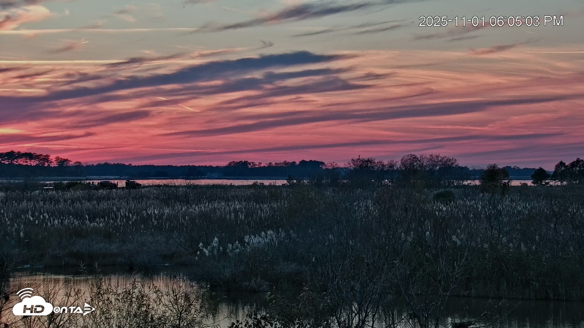 Snapshot of Blackwater Wildlife Refuge Osprey River Platform Live Cam taken Nov 1, 2025, 6:06pm EDT