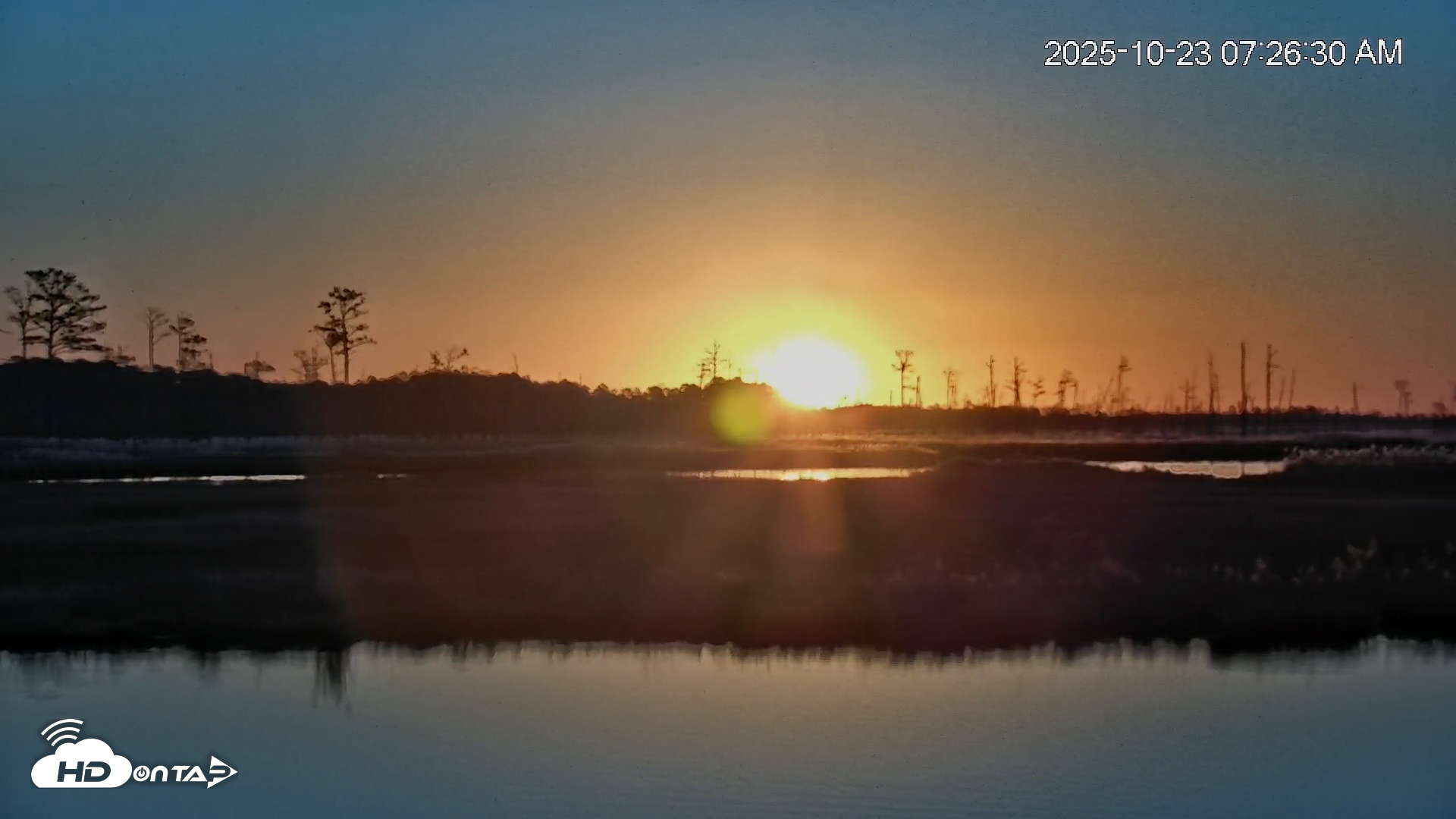Snapshot of Blackwater Wildlife Refuge Osprey River Platform Live Cam taken Oct 23, 2025, 7:27am EDT