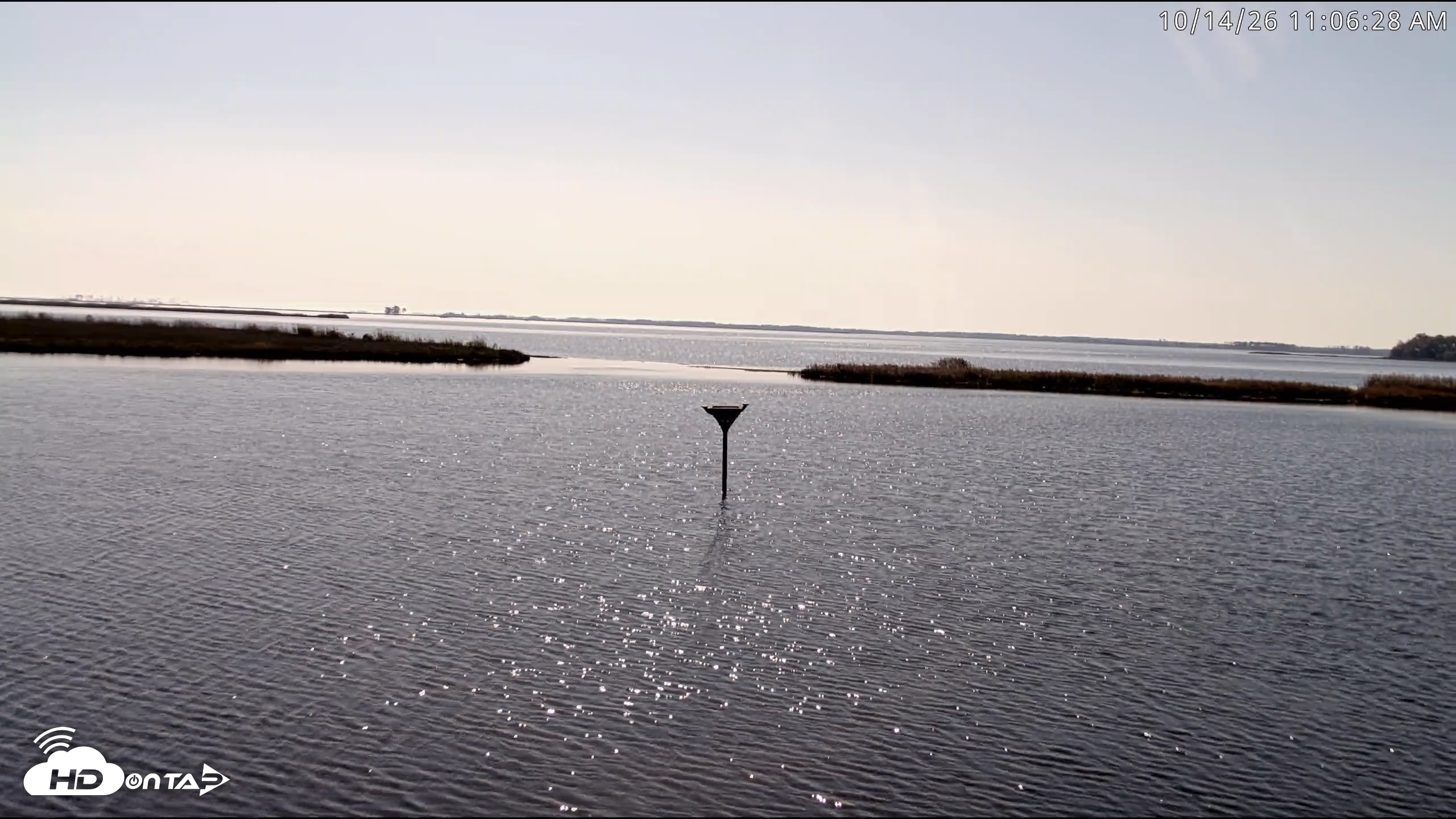 Snapshot of Blackwater Wildlife Refuge Osprey River Platform Live Cam taken Oct 14, 2026, 11:07am EDT