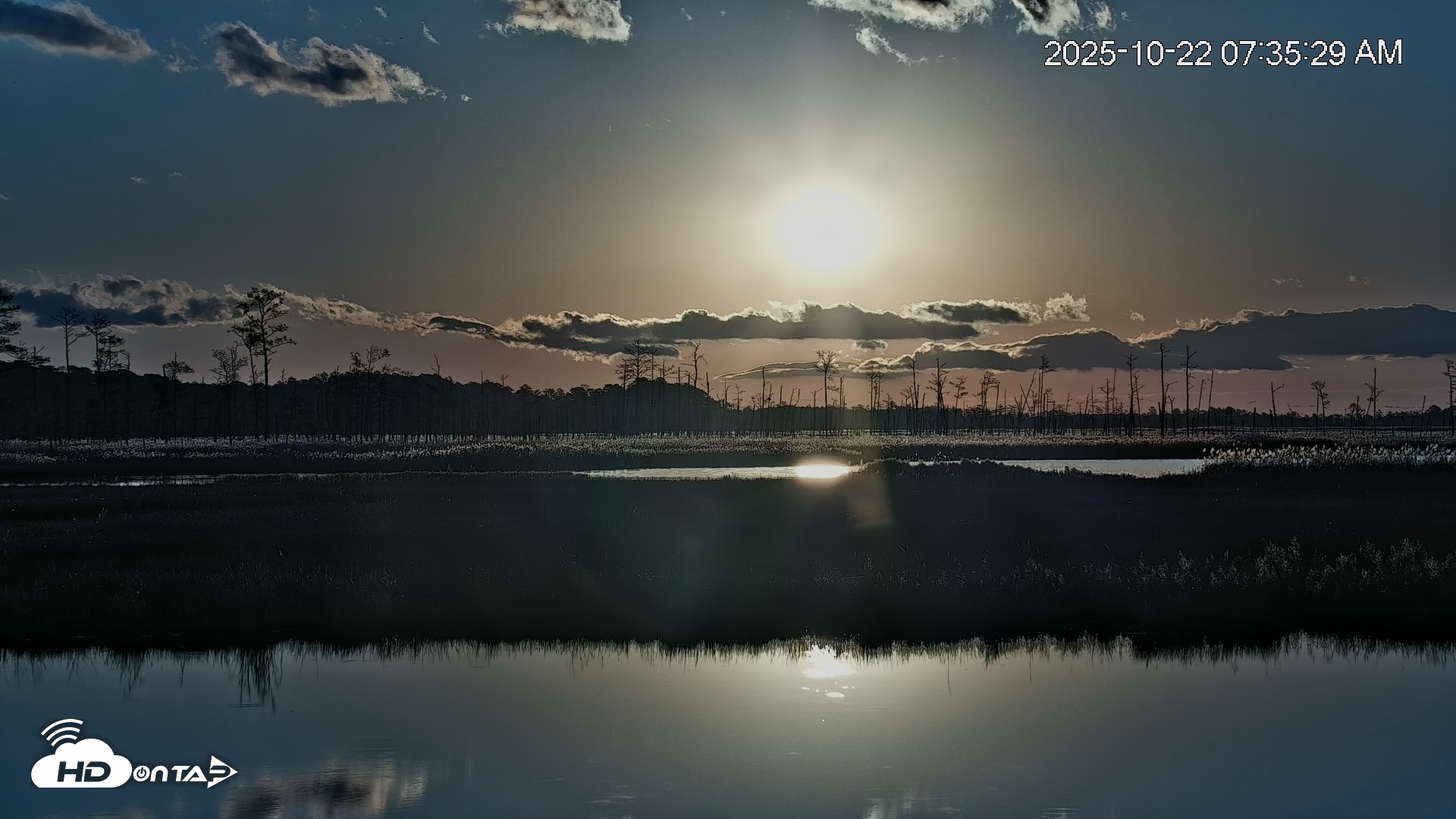 Snapshot of Blackwater Wildlife Refuge Osprey River Platform Live Cam taken Oct 22, 2025, 7:38am EDT