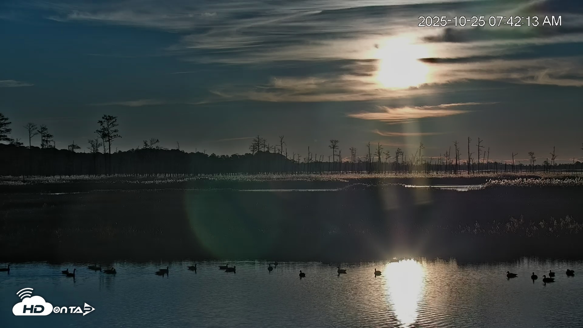 Snapshot of Blackwater Wildlife Refuge Osprey River Platform Live Cam taken Oct 25, 2025, 7:43am EDT