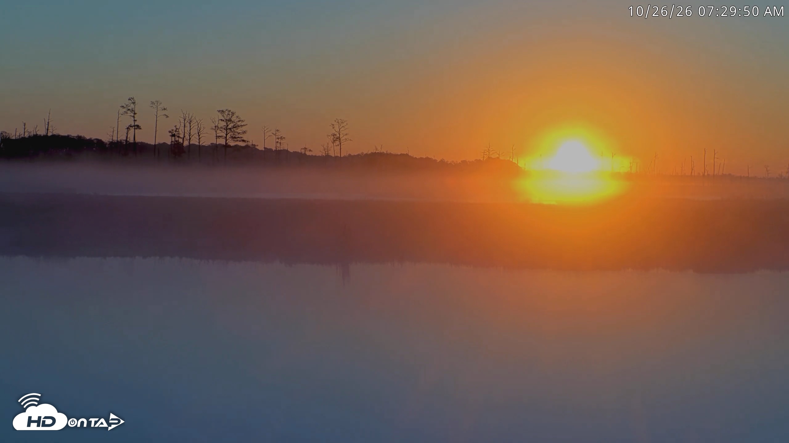 Snapshot of Blackwater Wildlife Refuge Osprey River Platform Live Cam taken Oct 26, 2026, 7:30am EDT