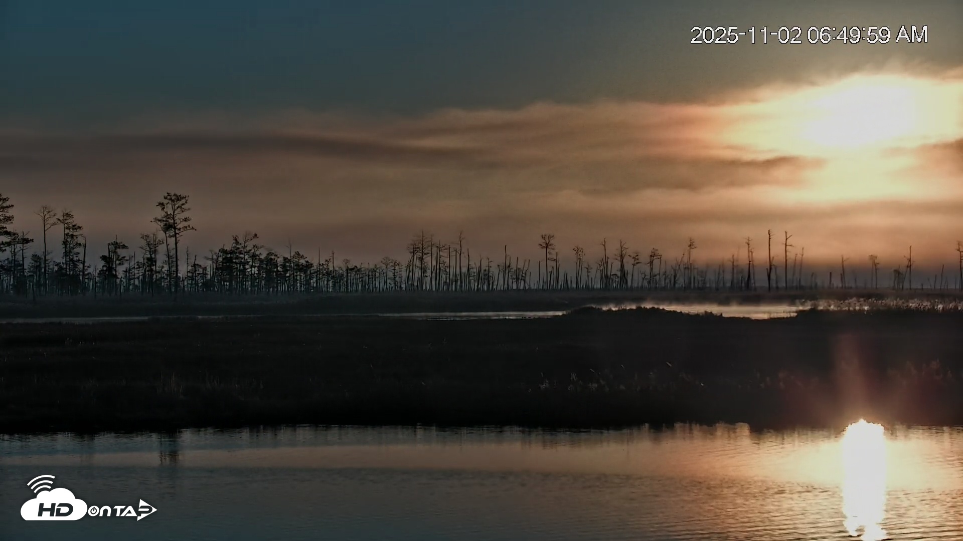 Snapshot of Blackwater Wildlife Refuge Osprey River Platform Live Cam taken Nov 2, 2025, 6:50am EST
