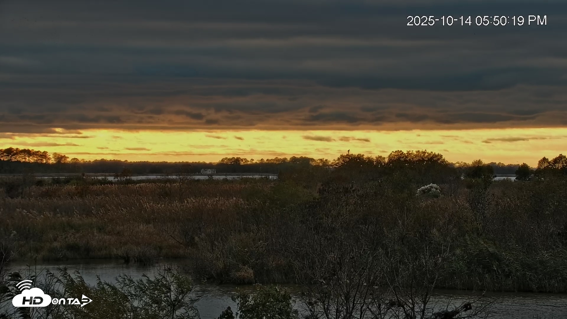 Snapshot of Blackwater Wildlife Refuge Osprey River Platform Live Cam taken Oct 14, 2025, 5:51pm EDT