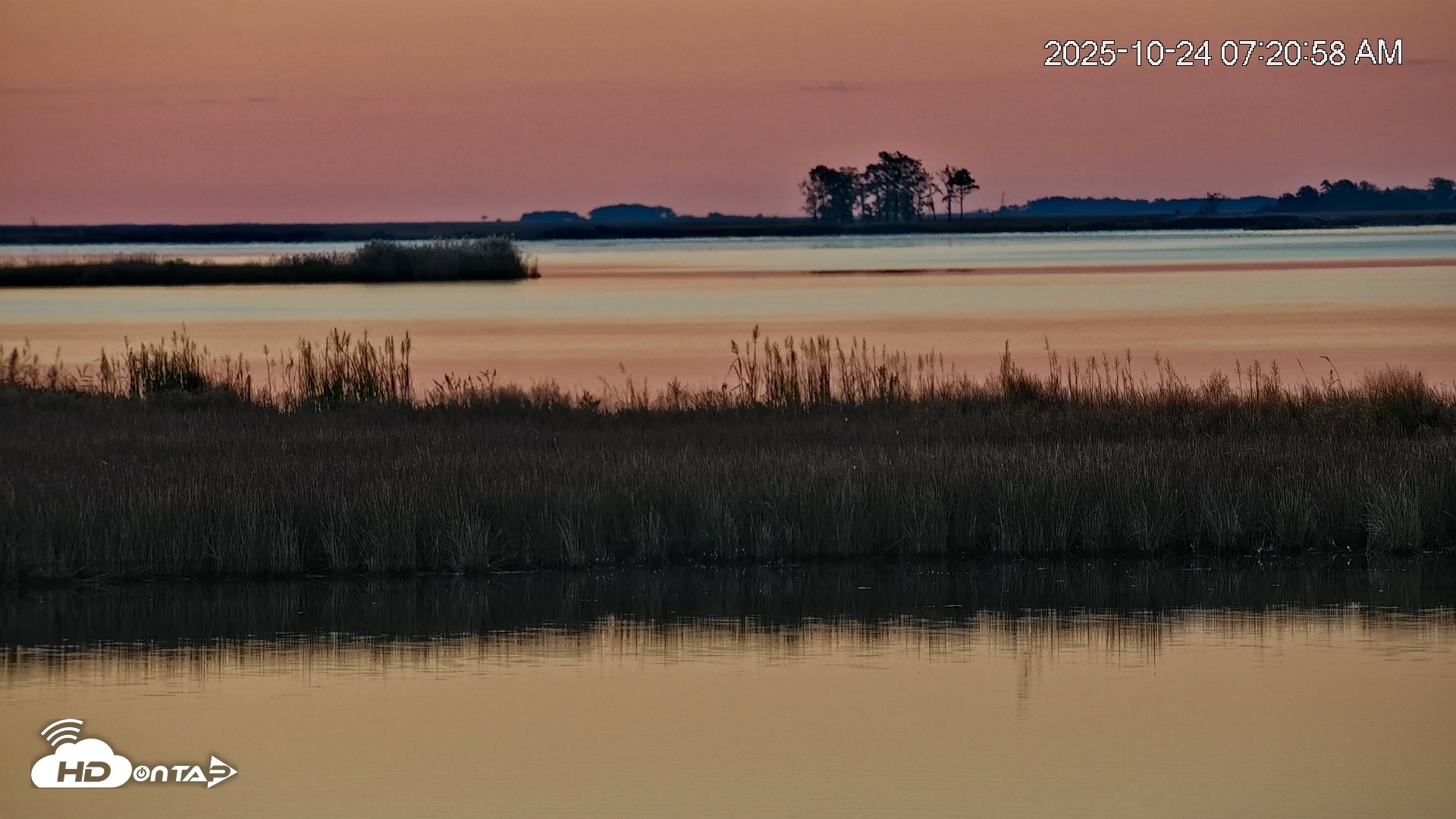 Snapshot of Blackwater Wildlife Refuge Osprey River Platform Live Cam taken Oct 24, 2025, 7:21am EDT