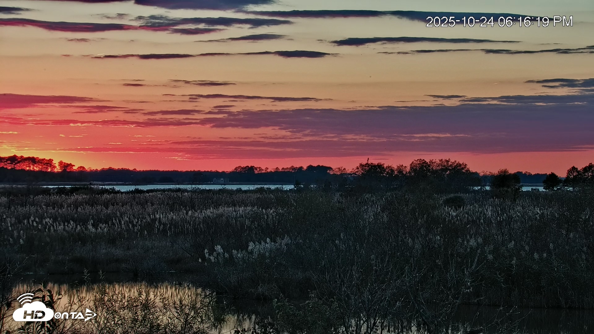 Snapshot of Blackwater Wildlife Refuge Osprey River Platform Live Cam taken Oct 24, 2025, 6:17pm EDT
