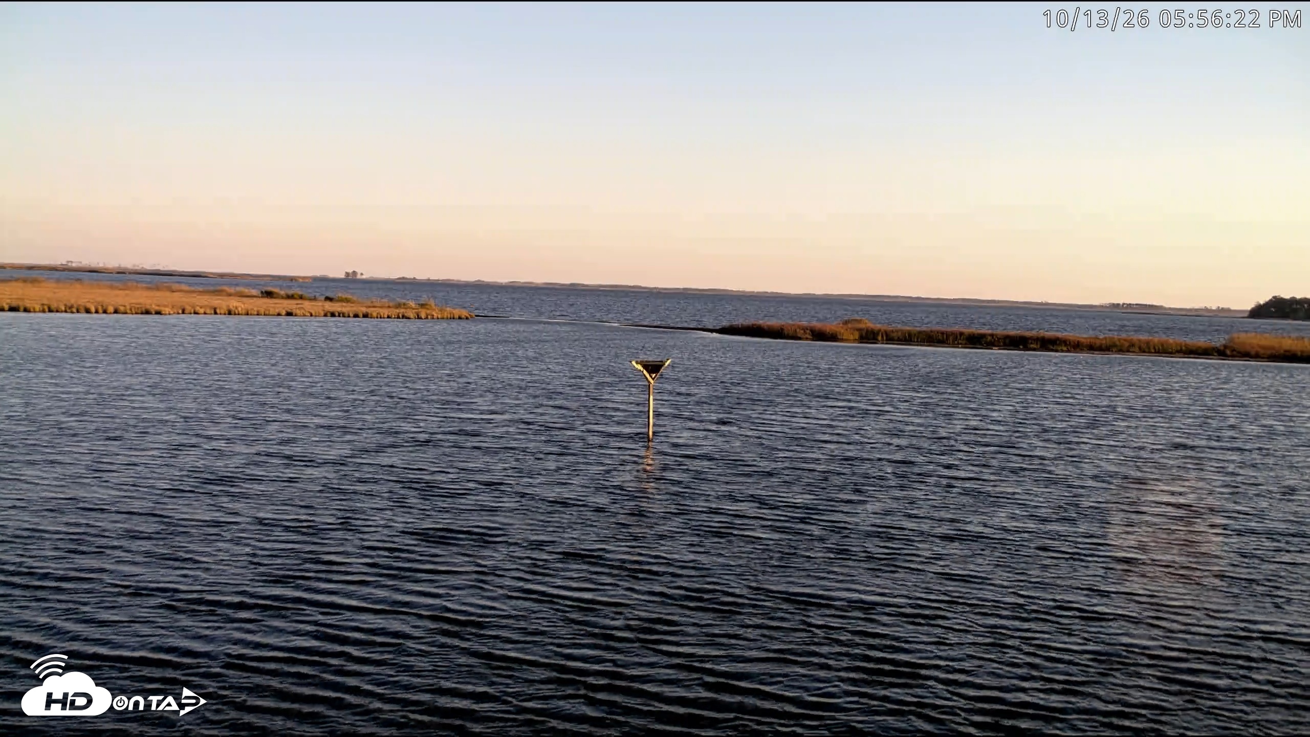 Snapshot of Blackwater Wildlife Refuge Osprey River Platform Live Cam taken Oct 13, 2026, 5:58pm EDT