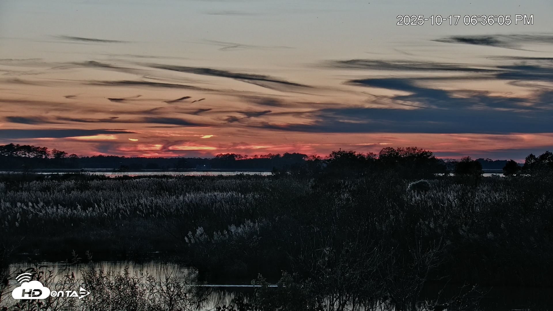 Snapshot of Blackwater Wildlife Refuge Osprey River Platform Live Cam taken Oct 17, 2025, 6:37pm EDT