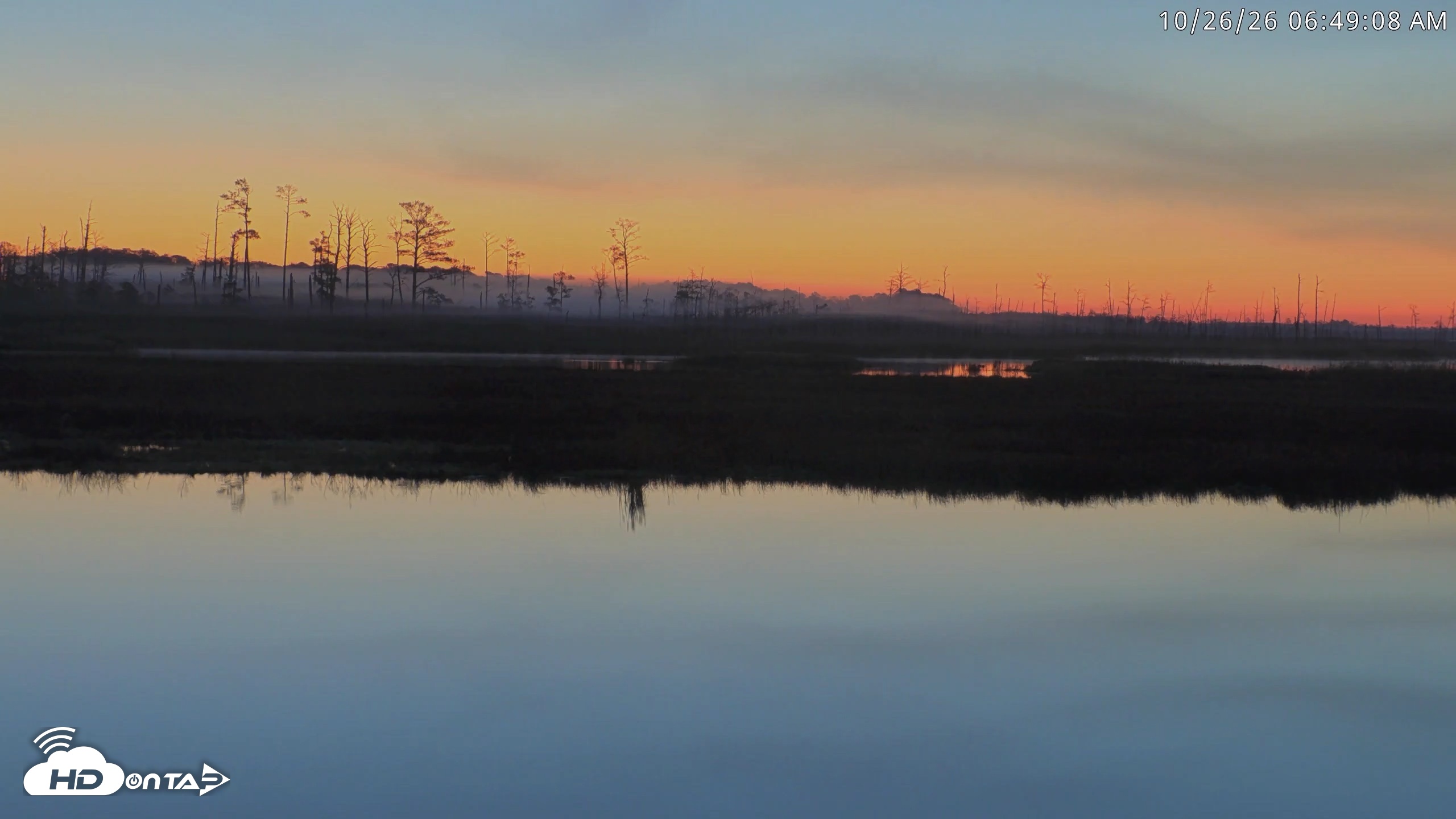 Snapshot of Blackwater Wildlife Refuge Osprey River Platform Live Cam taken Oct 26, 2026, 6:50am EDT