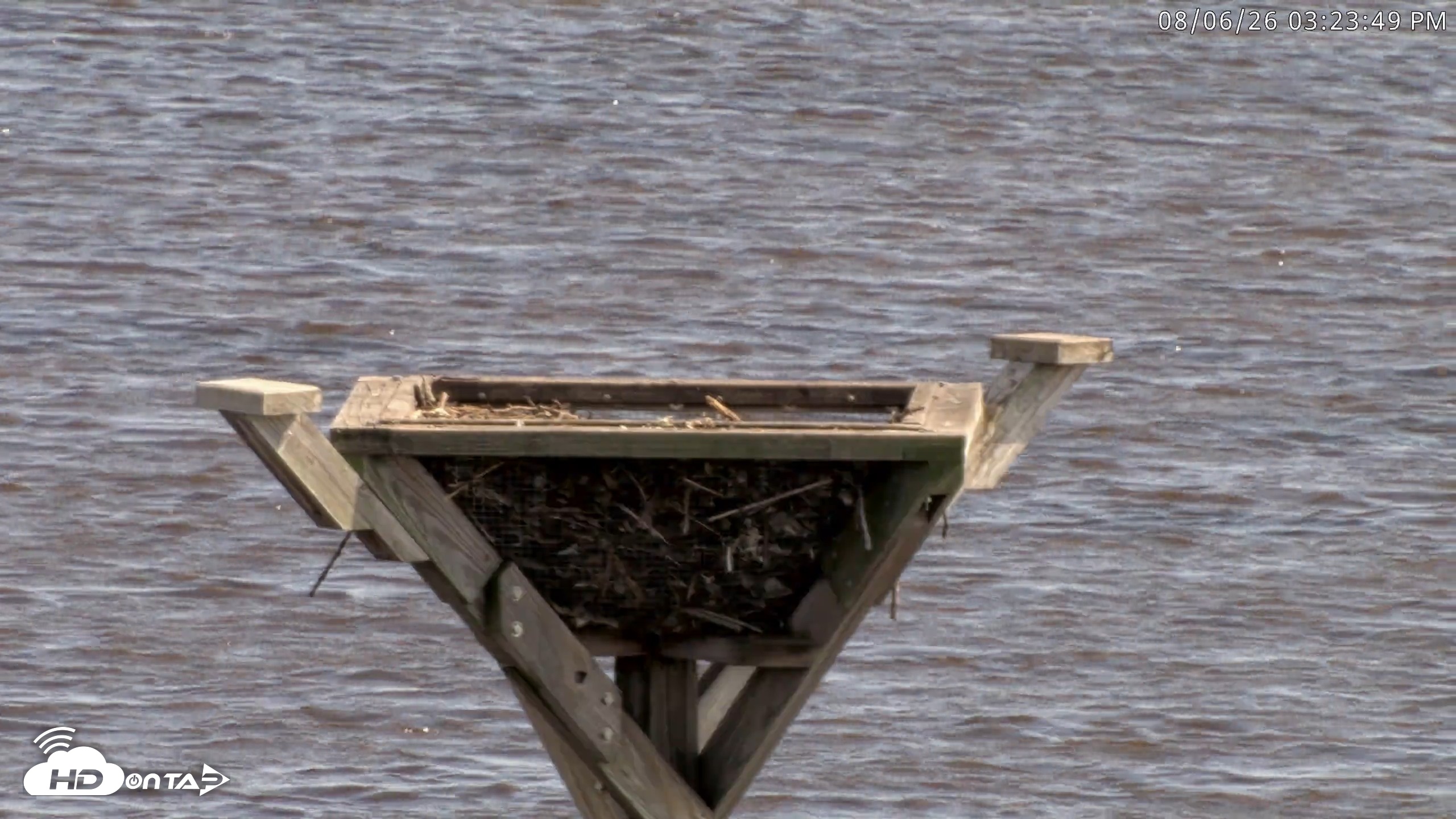 Snapshot of Blackwater Wildlife Refuge Osprey River Platform Live Cam taken Aug 6, 2026, 3:24pm EDT