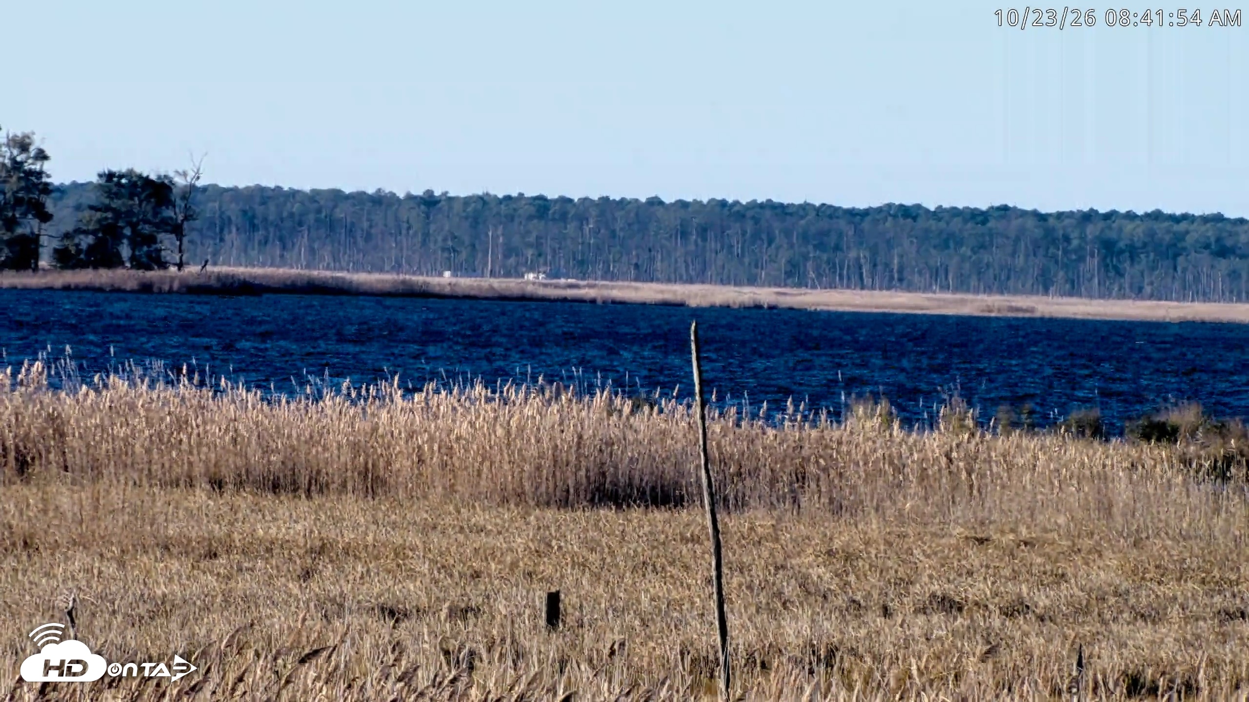 Snapshot of Blackwater Wildlife Refuge Osprey River Platform Live Cam taken Oct 23, 2026, 8:42am EDT