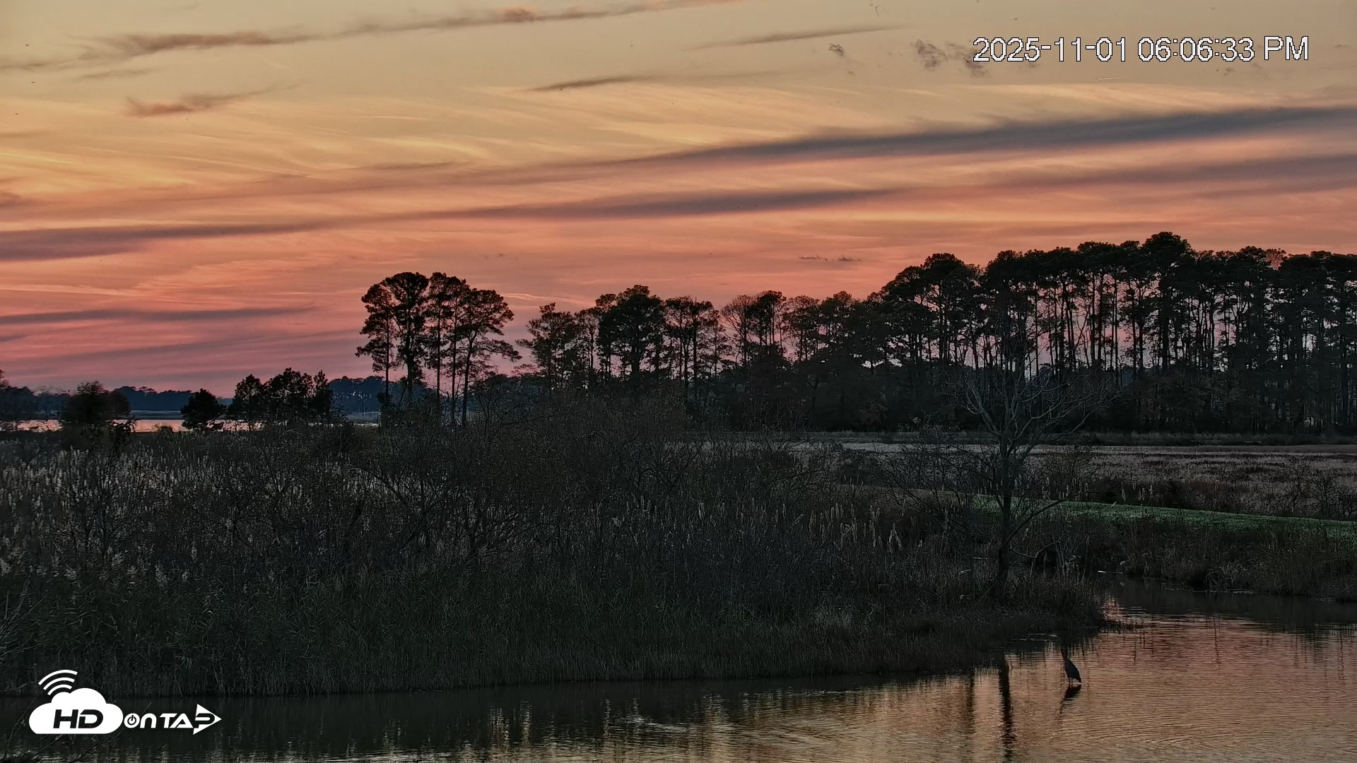 Snapshot of Blackwater Wildlife Refuge Osprey River Platform Live Cam taken Nov 1, 2025, 6:07pm EDT
