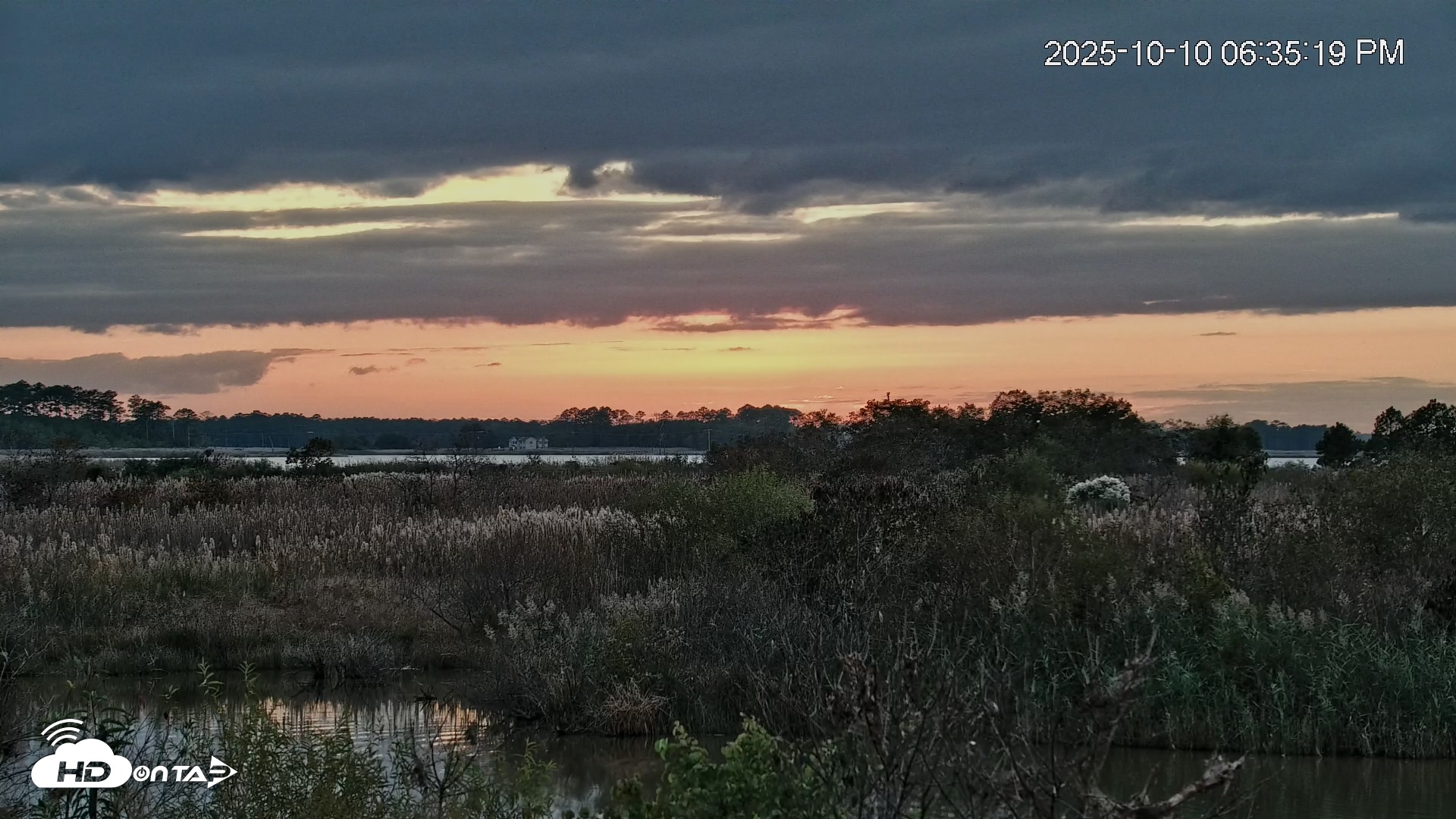 Snapshot of Blackwater Wildlife Refuge Osprey River Platform Live Cam taken Oct 10, 2025, 6:36pm EDT