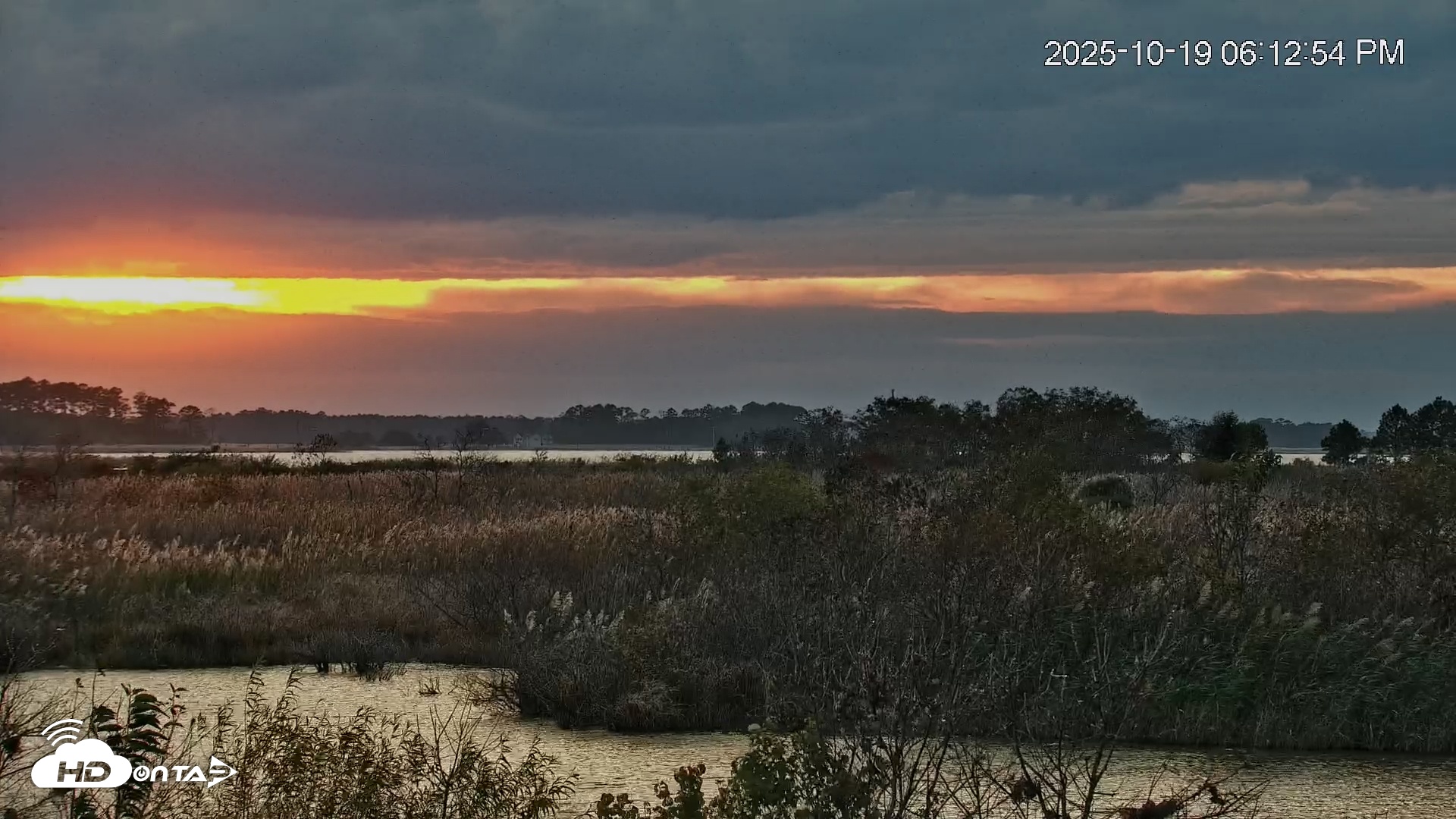 Snapshot of Blackwater Wildlife Refuge Osprey River Platform Live Cam taken Oct 19, 2025, 6:13pm EDT