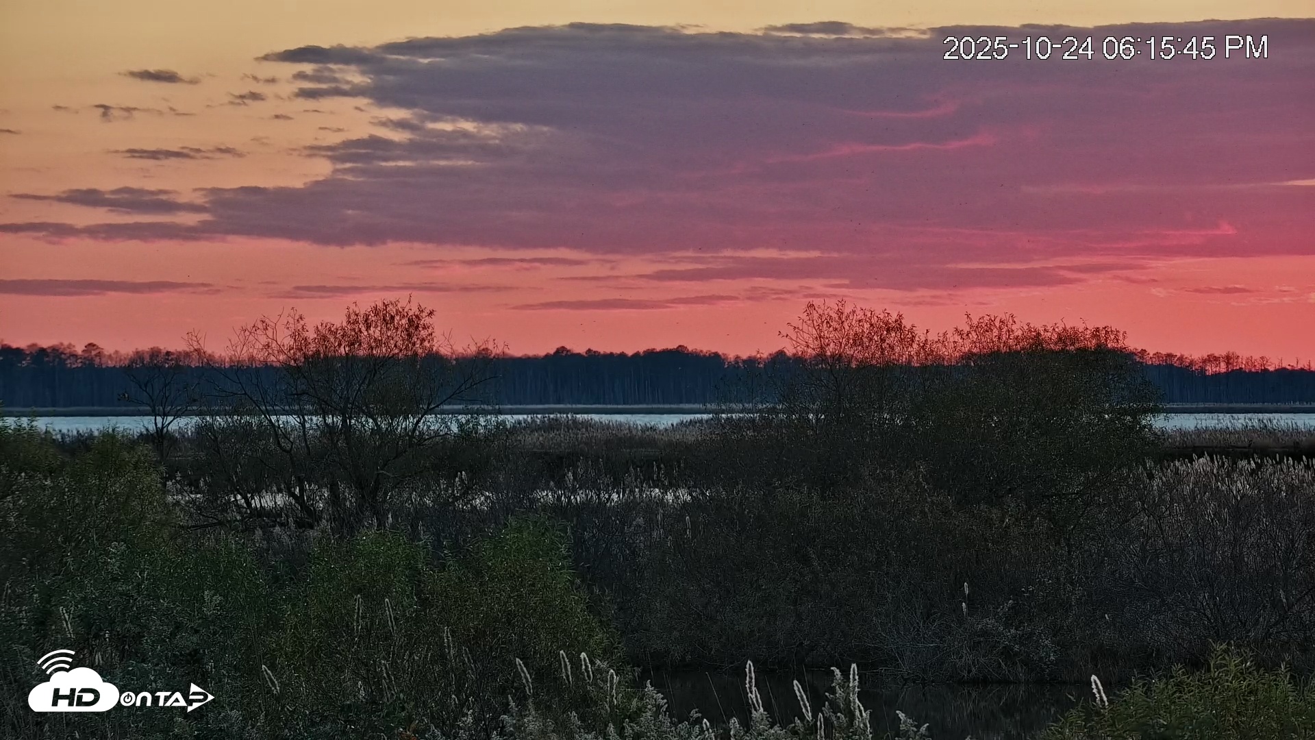Snapshot of Blackwater Wildlife Refuge Osprey River Platform Live Cam taken Oct 24, 2025, 6:16pm EDT
