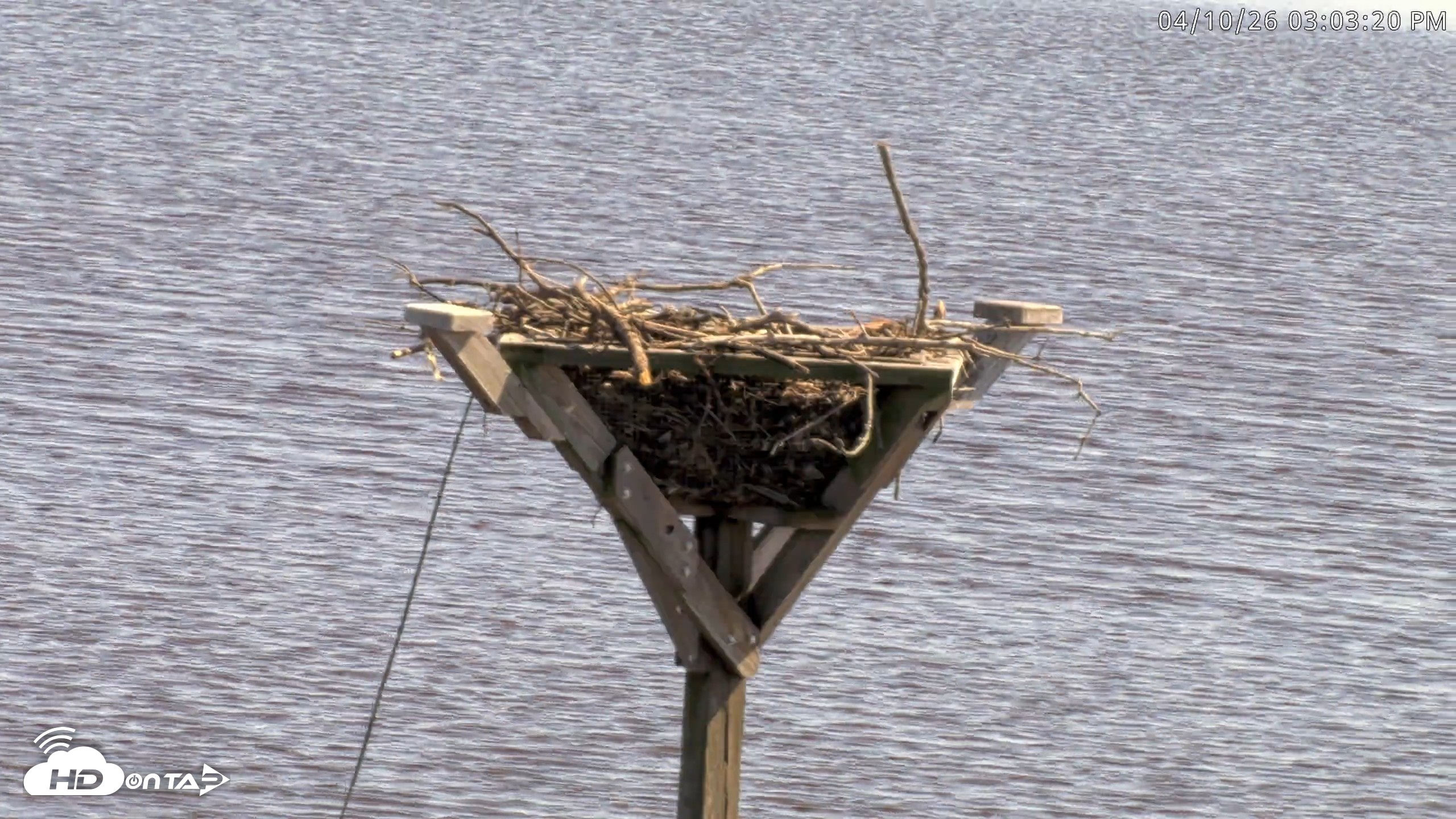 Snapshot of Blackwater Wildlife Refuge Osprey River Platform Live Cam taken Apr 10, 2026, 3:04pm EDT