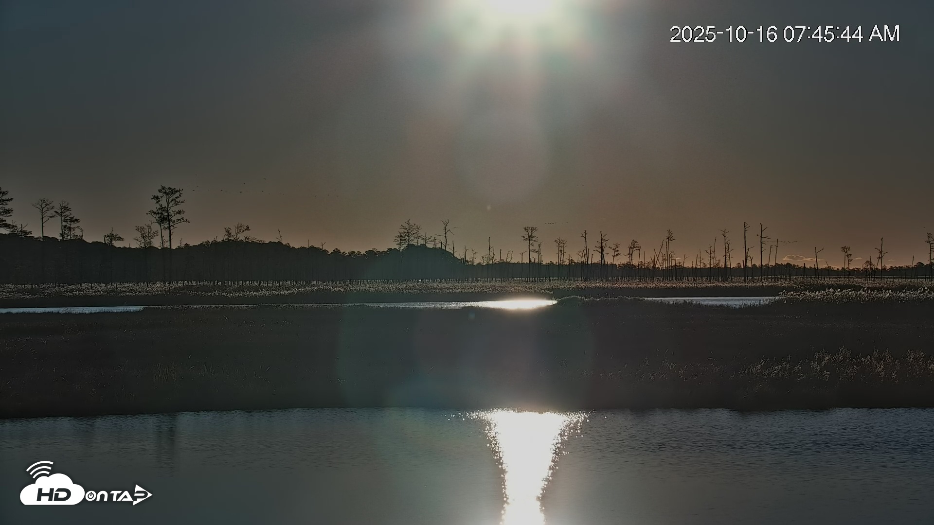 Snapshot of Blackwater Wildlife Refuge Osprey River Platform Live Cam taken Oct 16, 2025, 7:46am EDT