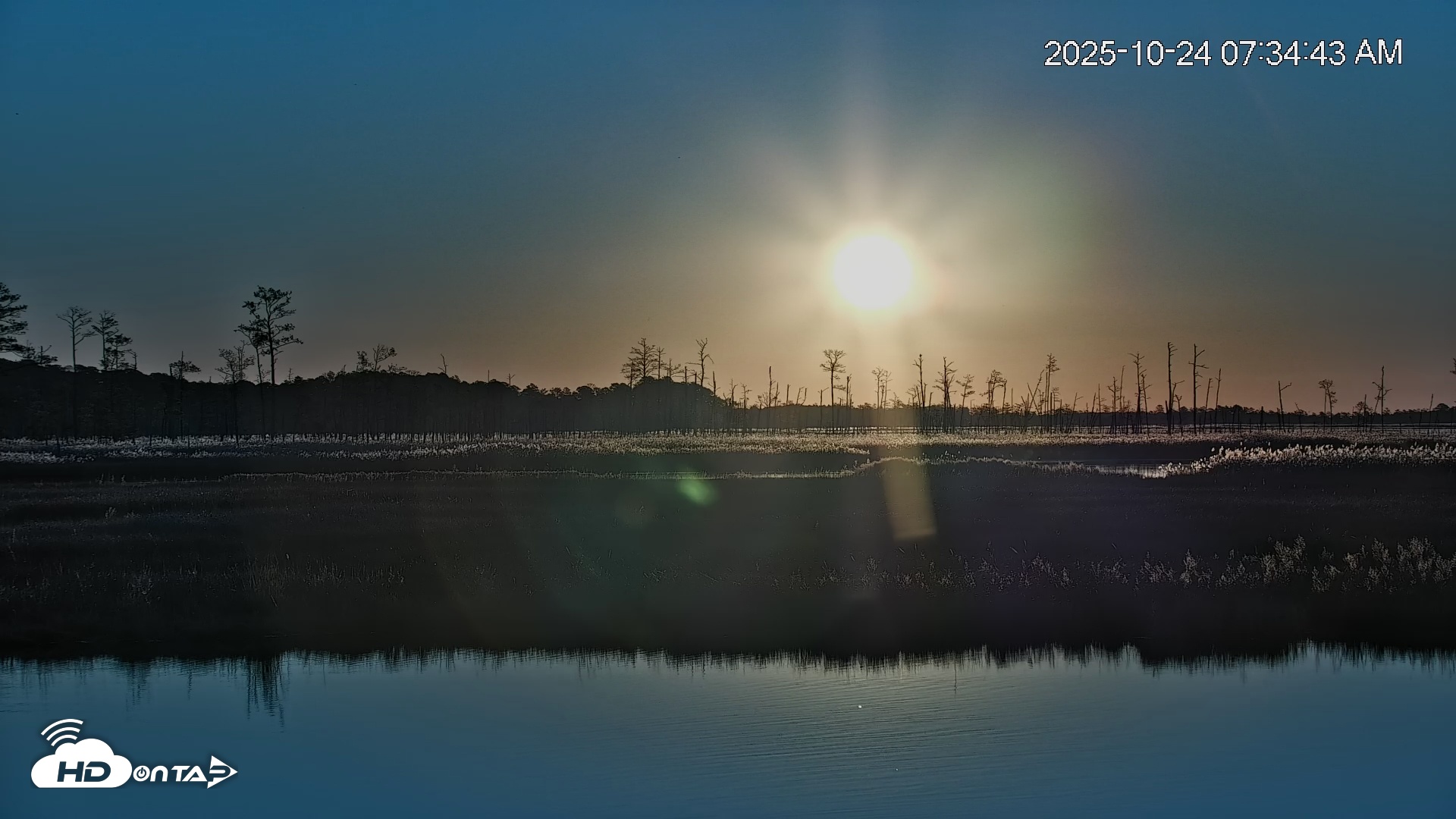 Snapshot of Blackwater Wildlife Refuge Osprey River Platform Live Cam taken Oct 24, 2025, 7:35am EDT