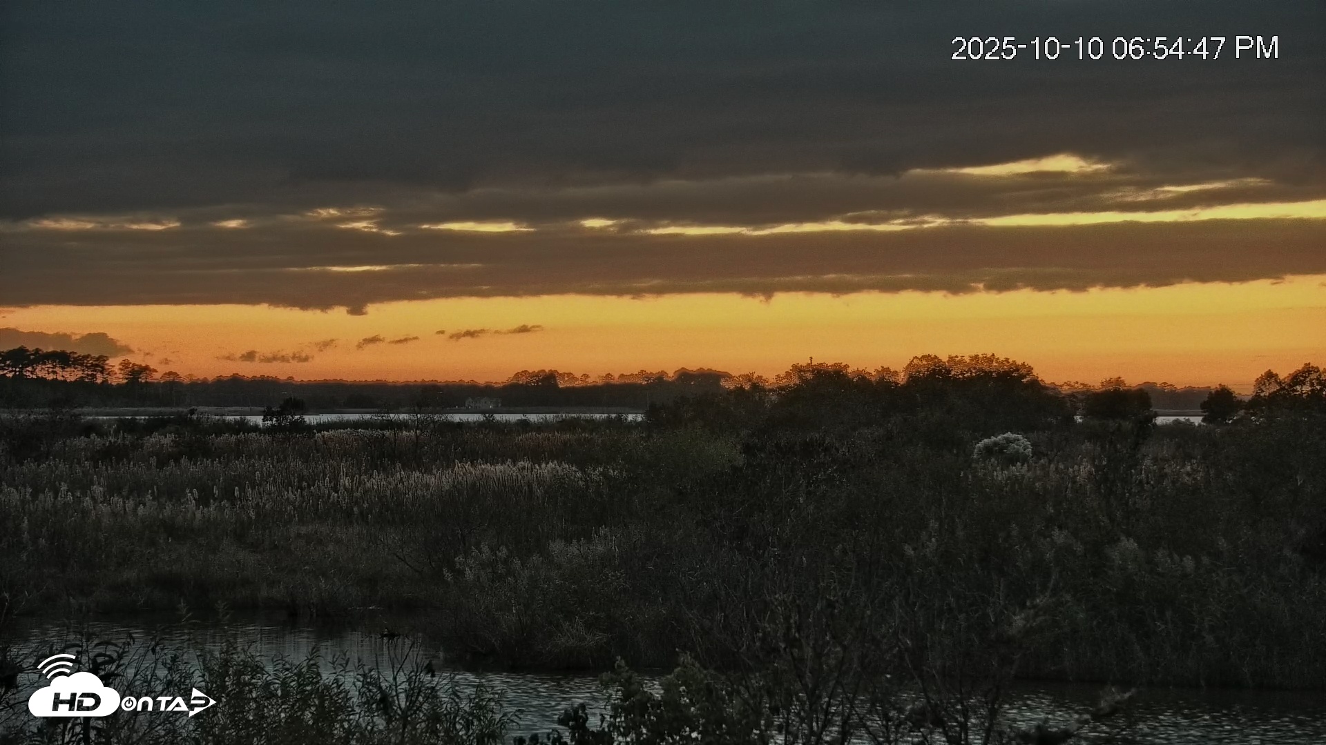 Snapshot of Blackwater Wildlife Refuge Osprey River Platform Live Cam taken Oct 10, 2025, 6:56pm EDT