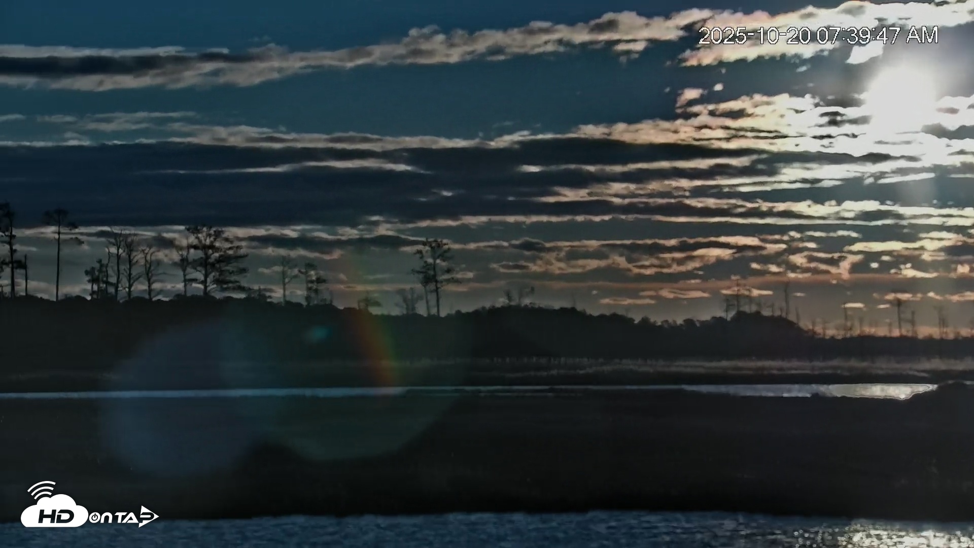 Snapshot of Blackwater Wildlife Refuge Osprey River Platform Live Cam taken Oct 20, 2025, 7:40am EDT