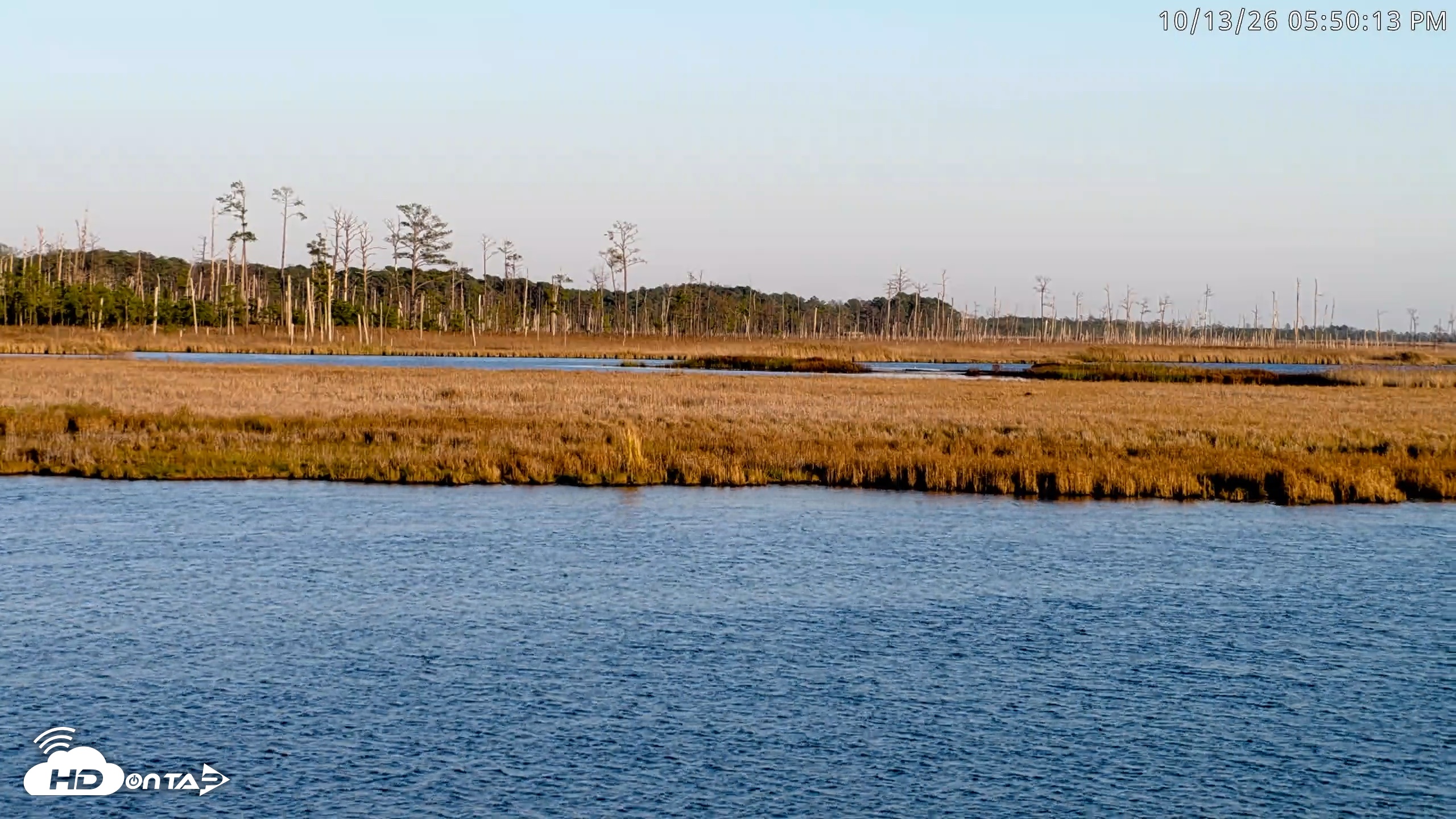 Snapshot of Blackwater Wildlife Refuge Osprey River Platform Live Cam taken Oct 13, 2026, 5:50pm EDT