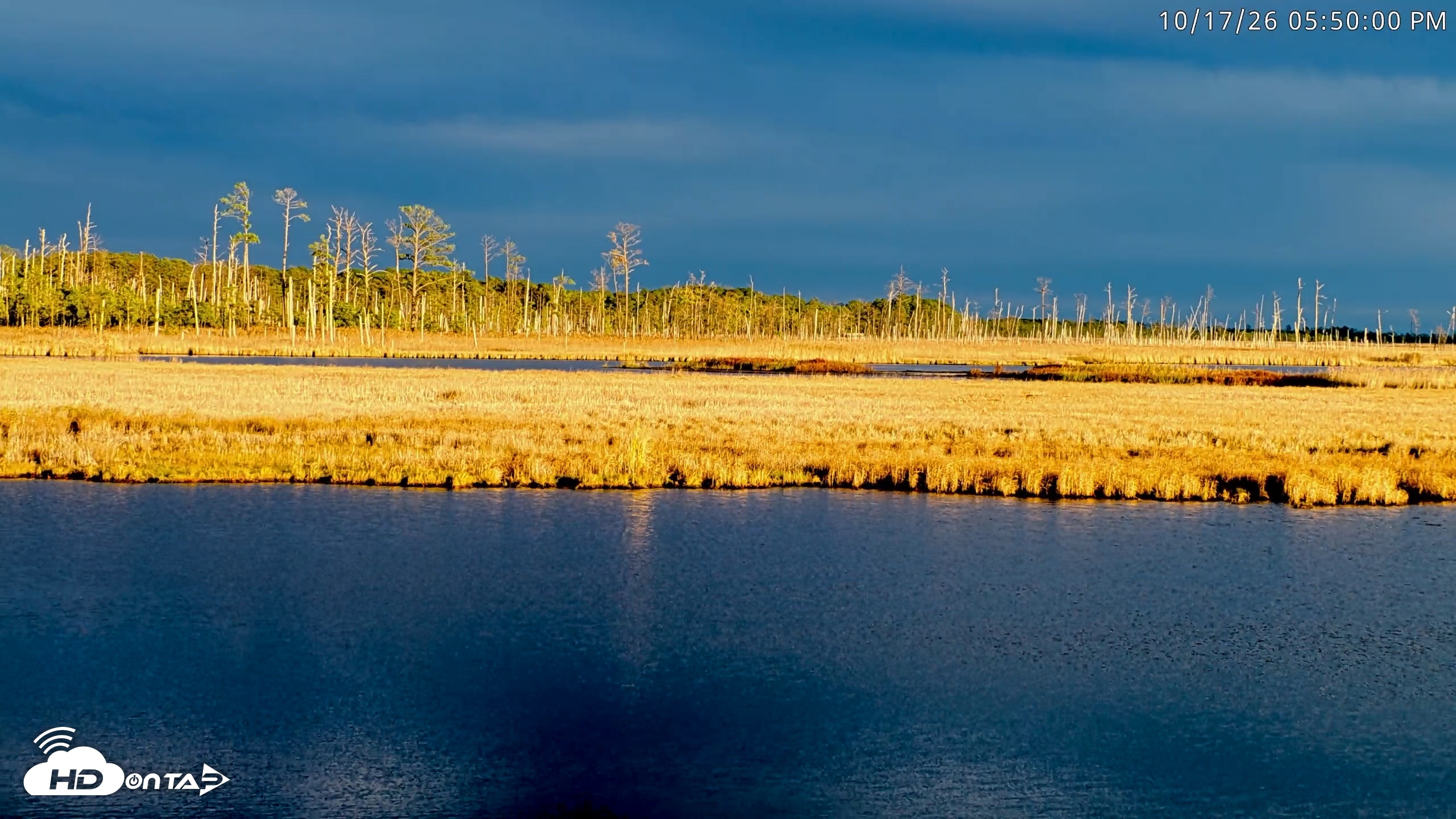 Snapshot of Blackwater Wildlife Refuge Osprey River Platform Live Cam taken Oct 17, 2026, 5:50pm EDT