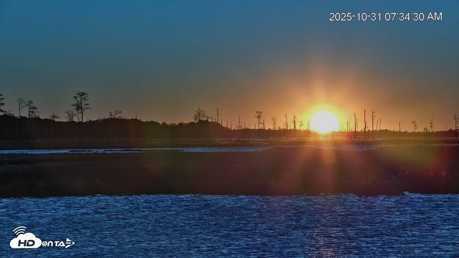 Snapshot of Blackwater Wildlife Refuge Osprey River Platform Live Cam taken Oct 31, 2025, 7:35am EDT