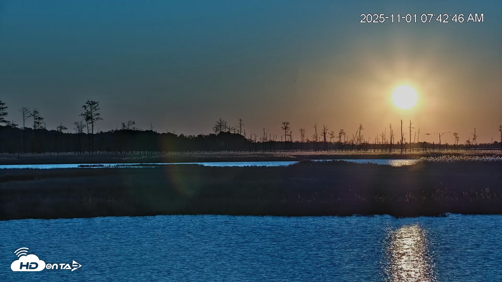 Snapshot of Blackwater Wildlife Refuge Osprey River Platform Live Cam taken Nov 1, 2025, 7:44am EDT