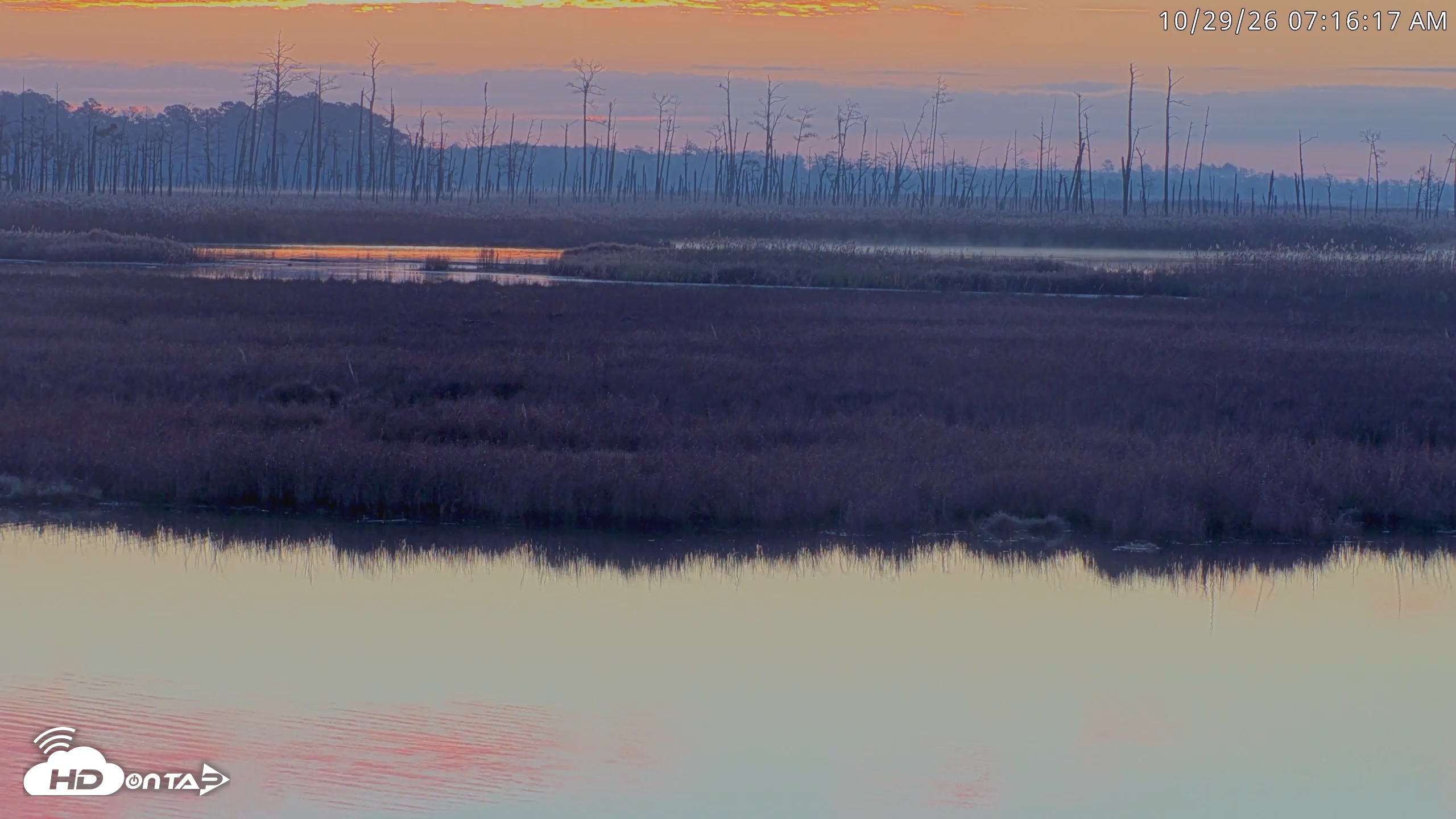 Snapshot of Blackwater Wildlife Refuge Osprey River Platform Live Cam taken Oct 29, 2026, 7:17am EDT