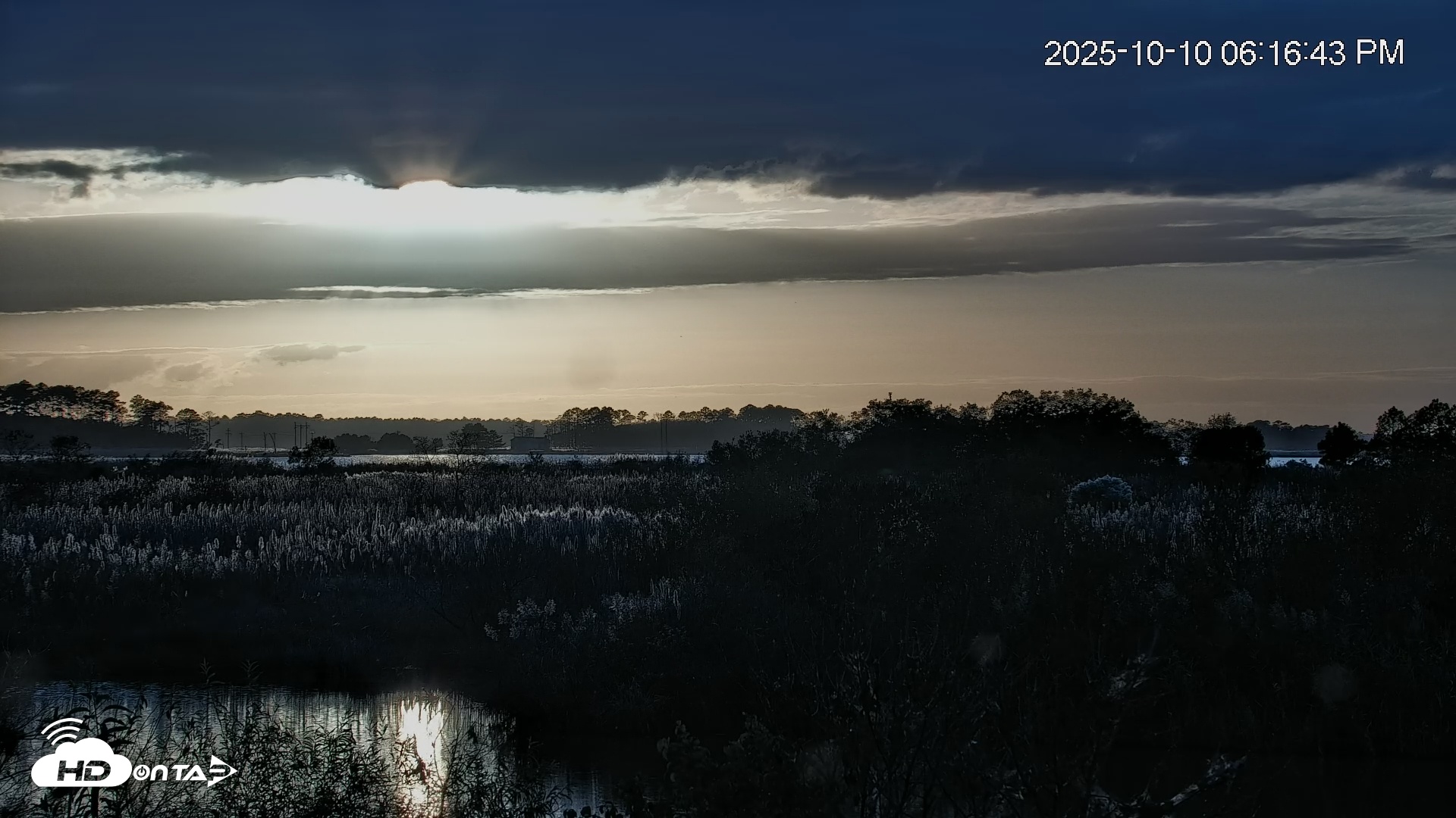 Snapshot of Blackwater Wildlife Refuge Osprey River Platform Live Cam taken Oct 10, 2025, 6:17pm EDT