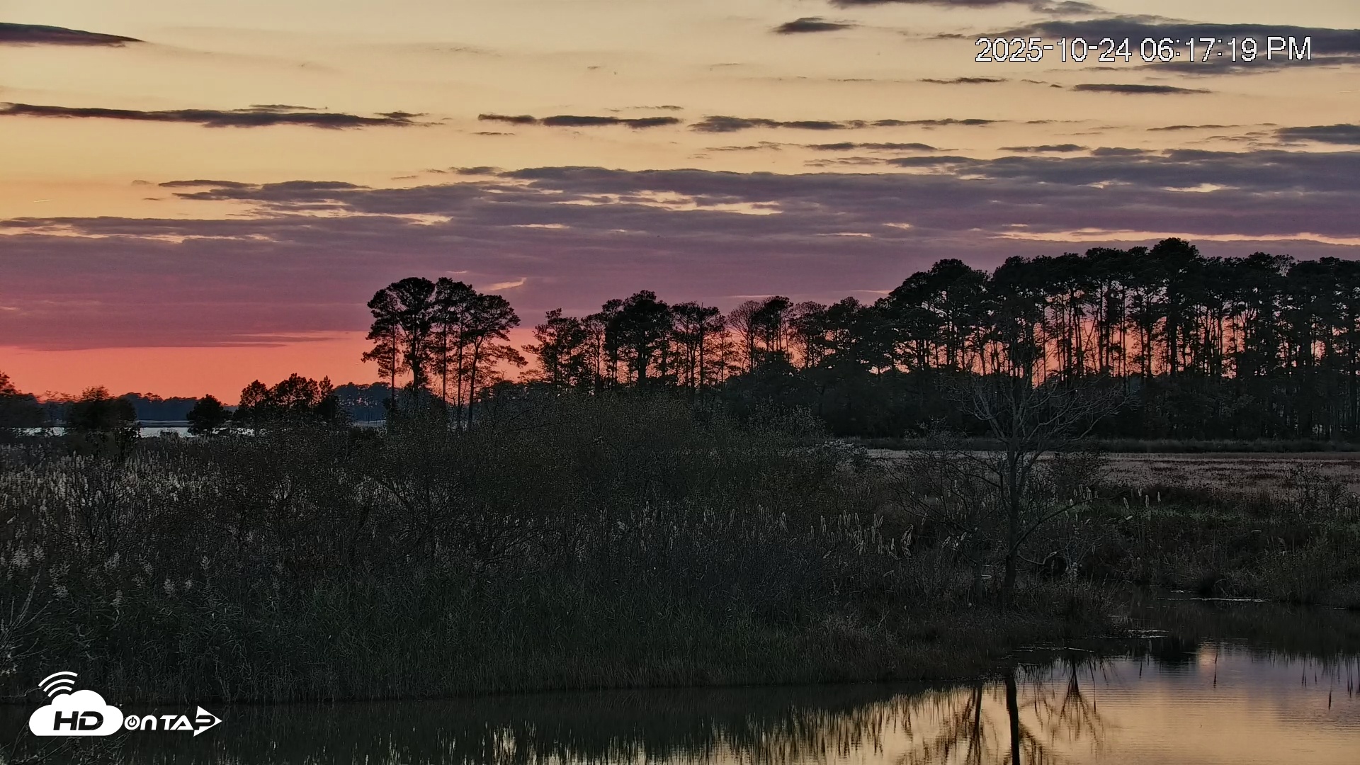 Snapshot of Blackwater Wildlife Refuge Osprey River Platform Live Cam taken Oct 24, 2025, 6:18pm EDT