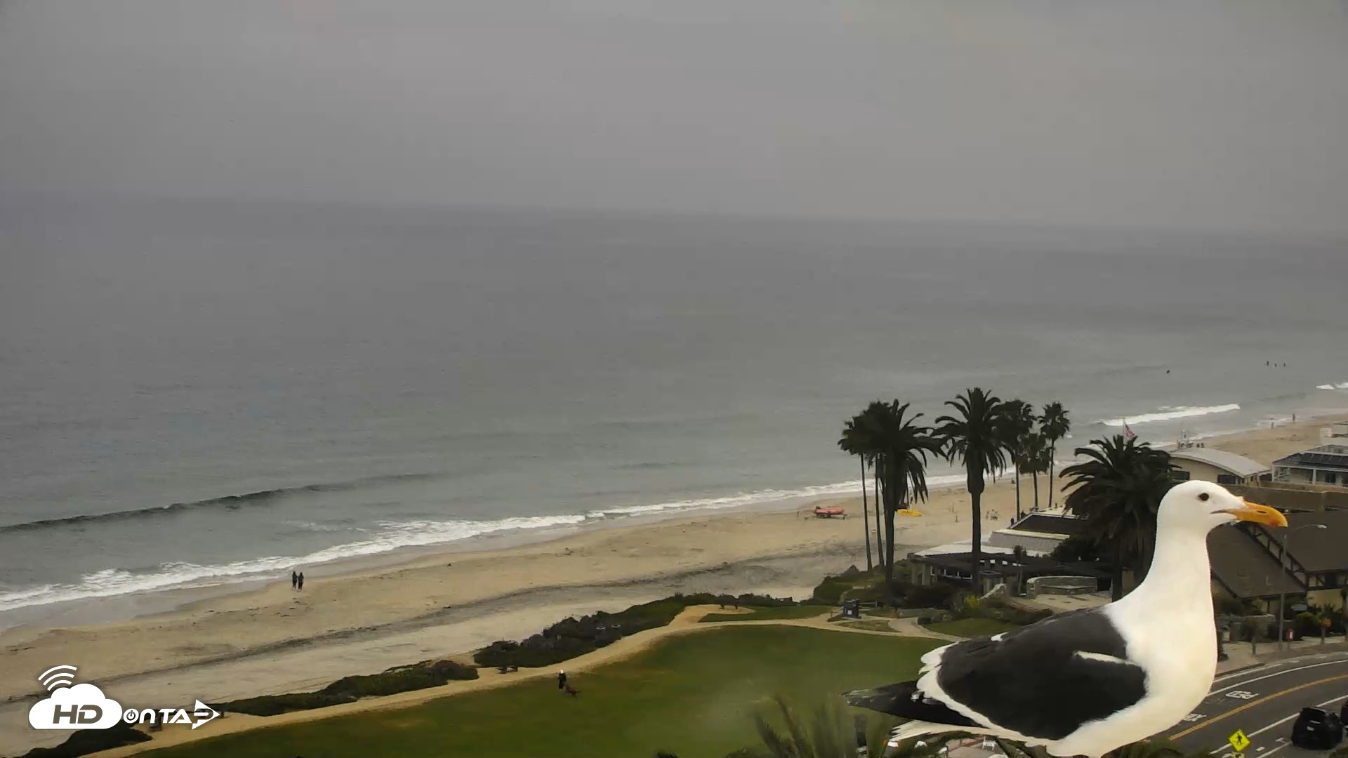 Snapshot of Del Mar Beach Overlook Roaming Live Webcam taken Mar 30, 2026, 9:13am PDT