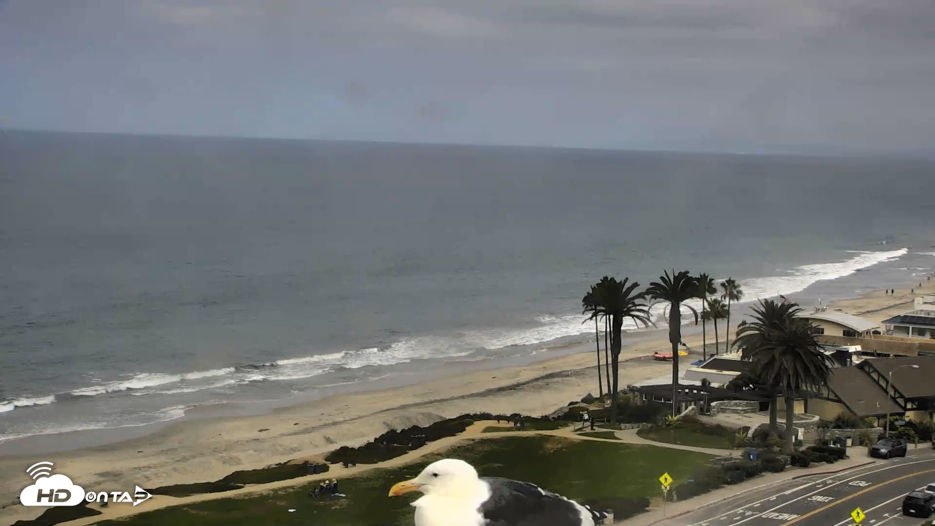 Snapshot of Del Mar Beach Overlook Roaming Live Webcam taken Sep 21, 2026, 10:22am PDT