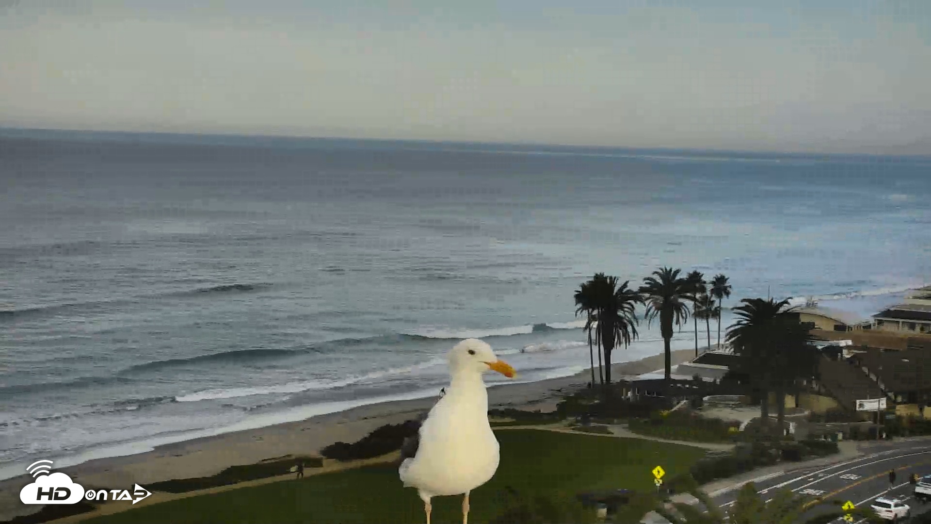 Snapshot of Del Mar Beach Overlook Roaming Live Webcam taken Dec 3, 2025, 7:57am PST