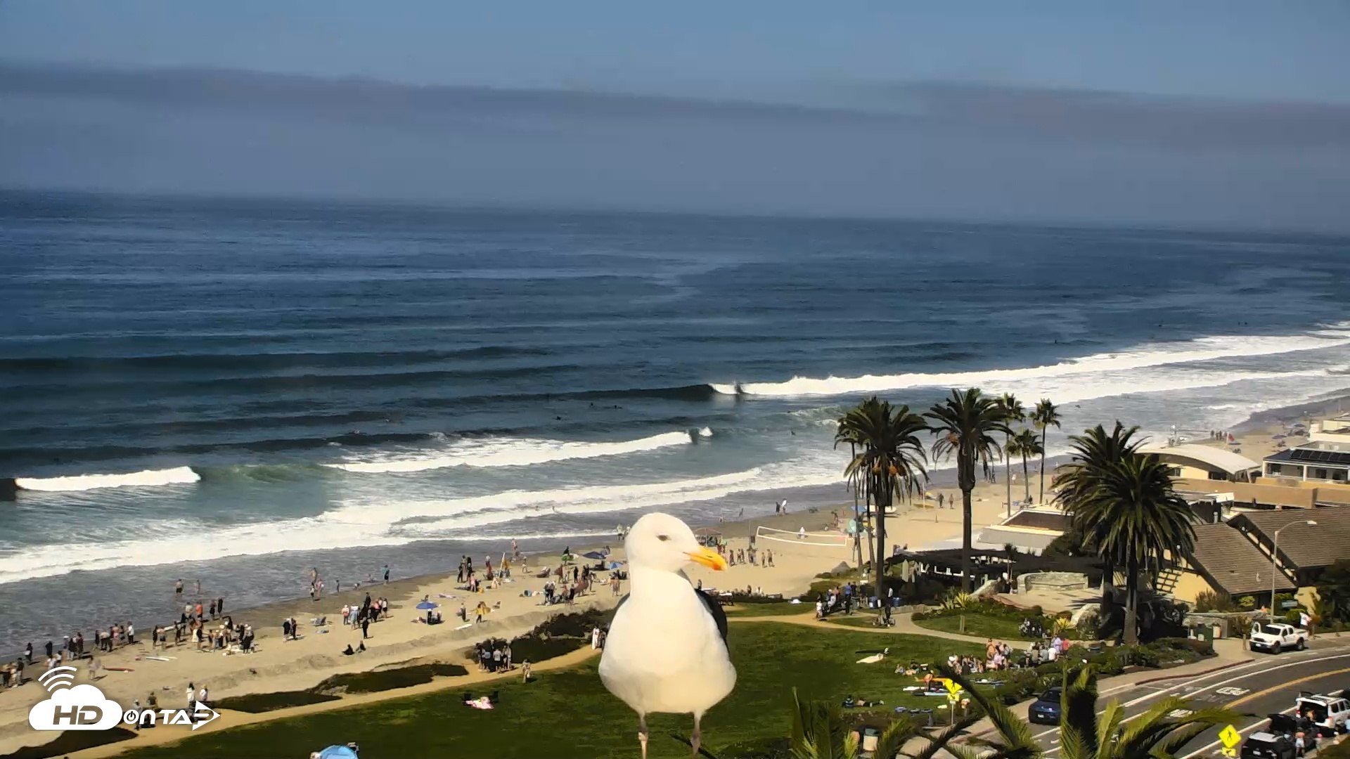Snapshot of Del Mar Beach Overlook Roaming Live Webcam taken Oct 11, 2025, 11:58am PDT