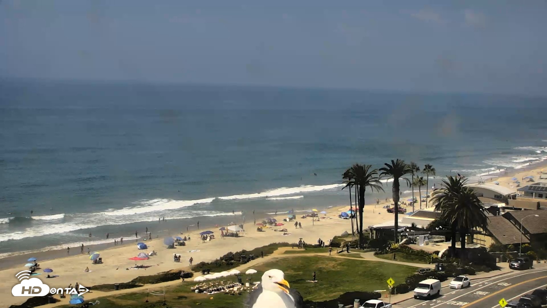 Snapshot of Del Mar Beach Overlook Roaming Live Webcam taken Aug 21, 2026, 1:38pm PDT