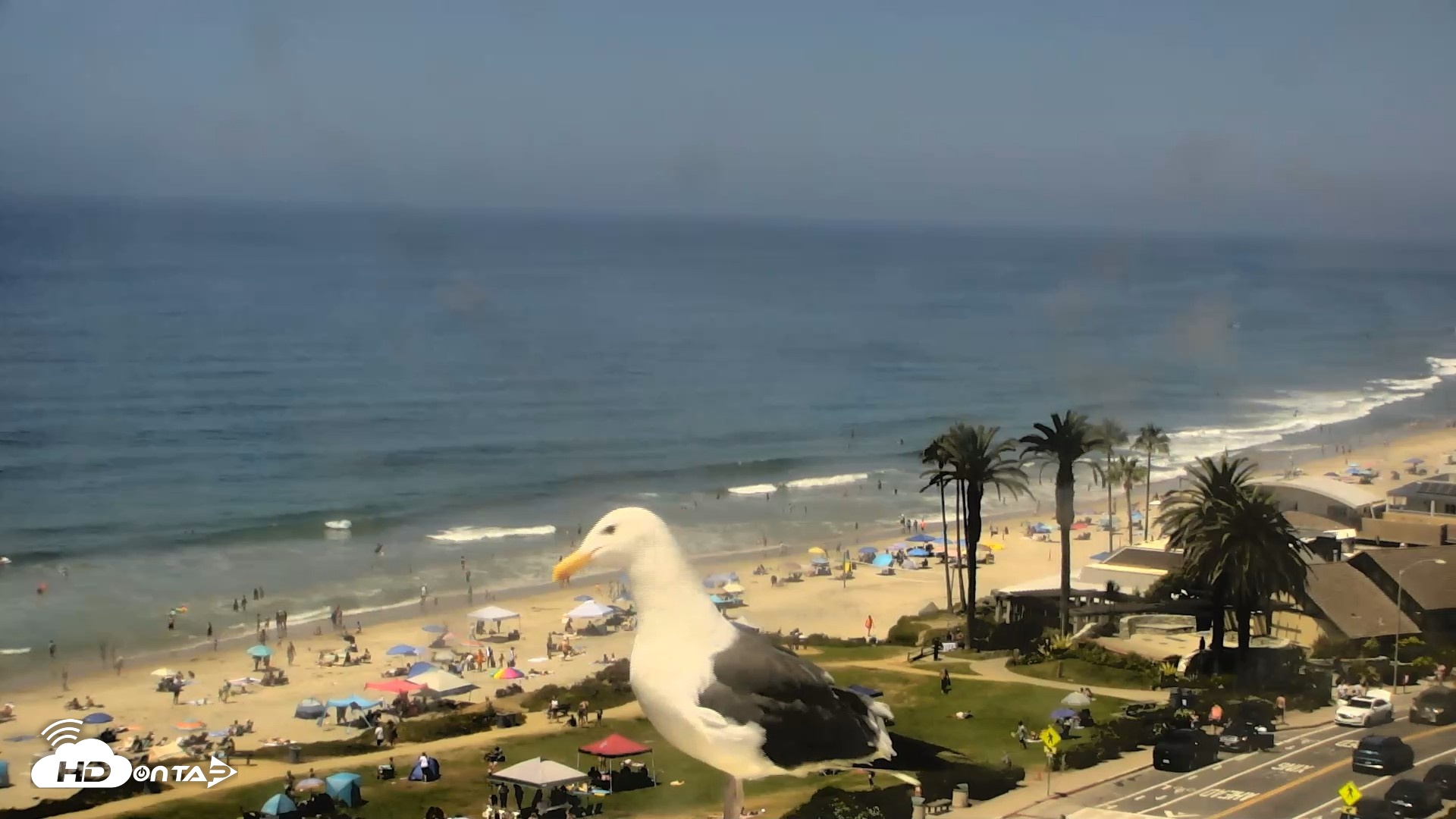Snapshot of Del Mar Beach Overlook Roaming Live Webcam taken Aug 23, 2026, 1:05pm PDT