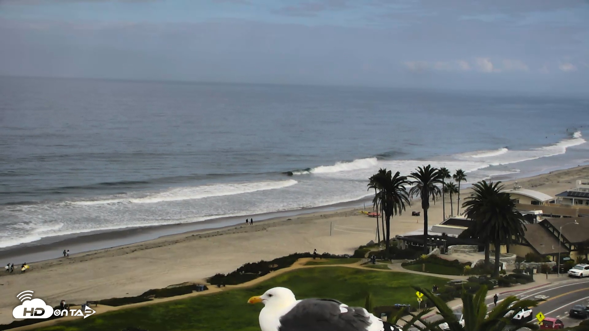 Snapshot of Del Mar Beach Overlook Roaming Live Webcam taken Sep 30, 2025, 9:11am PDT